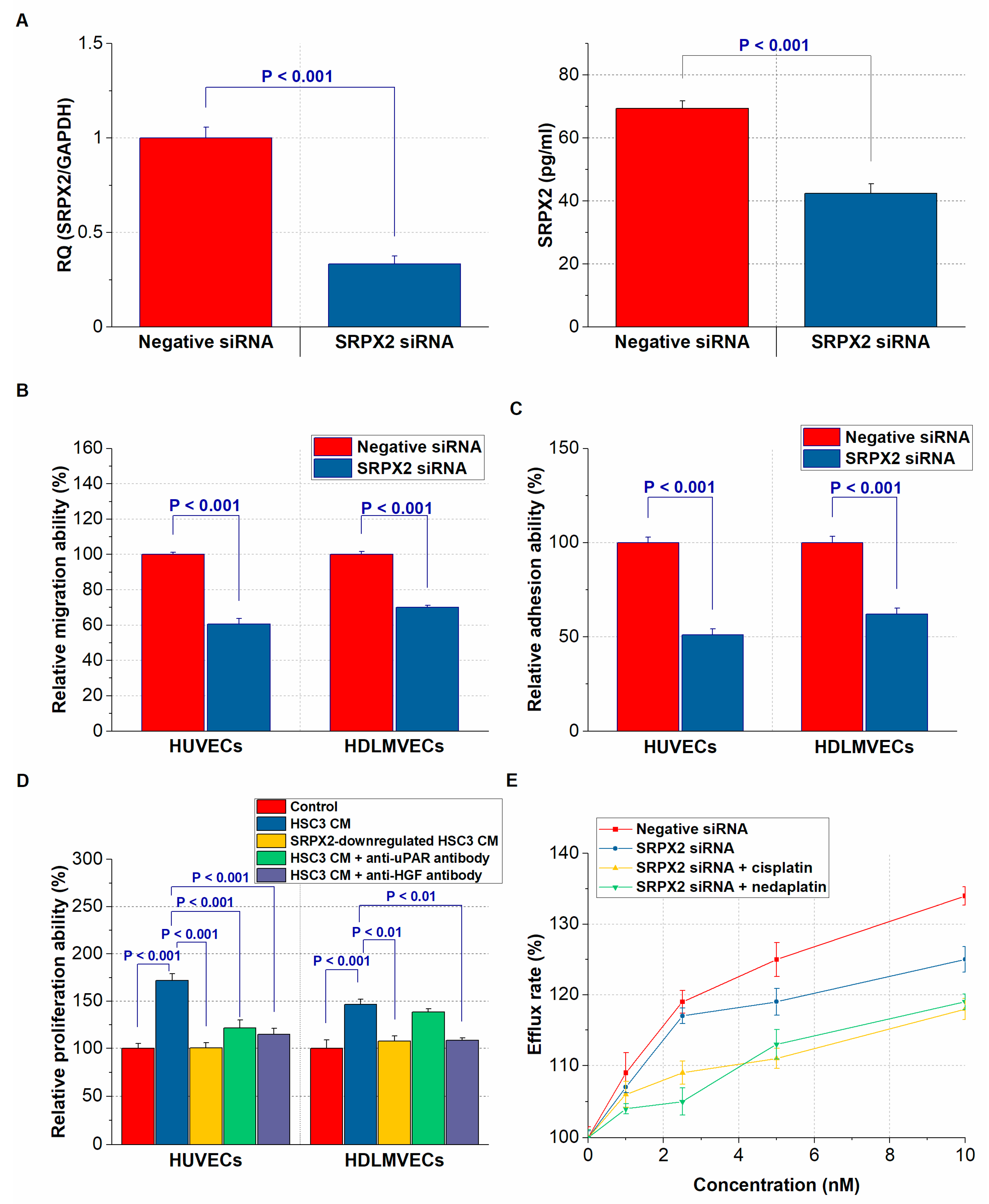 Ijms 21 03655 g005 Ijms 21 03655 g005