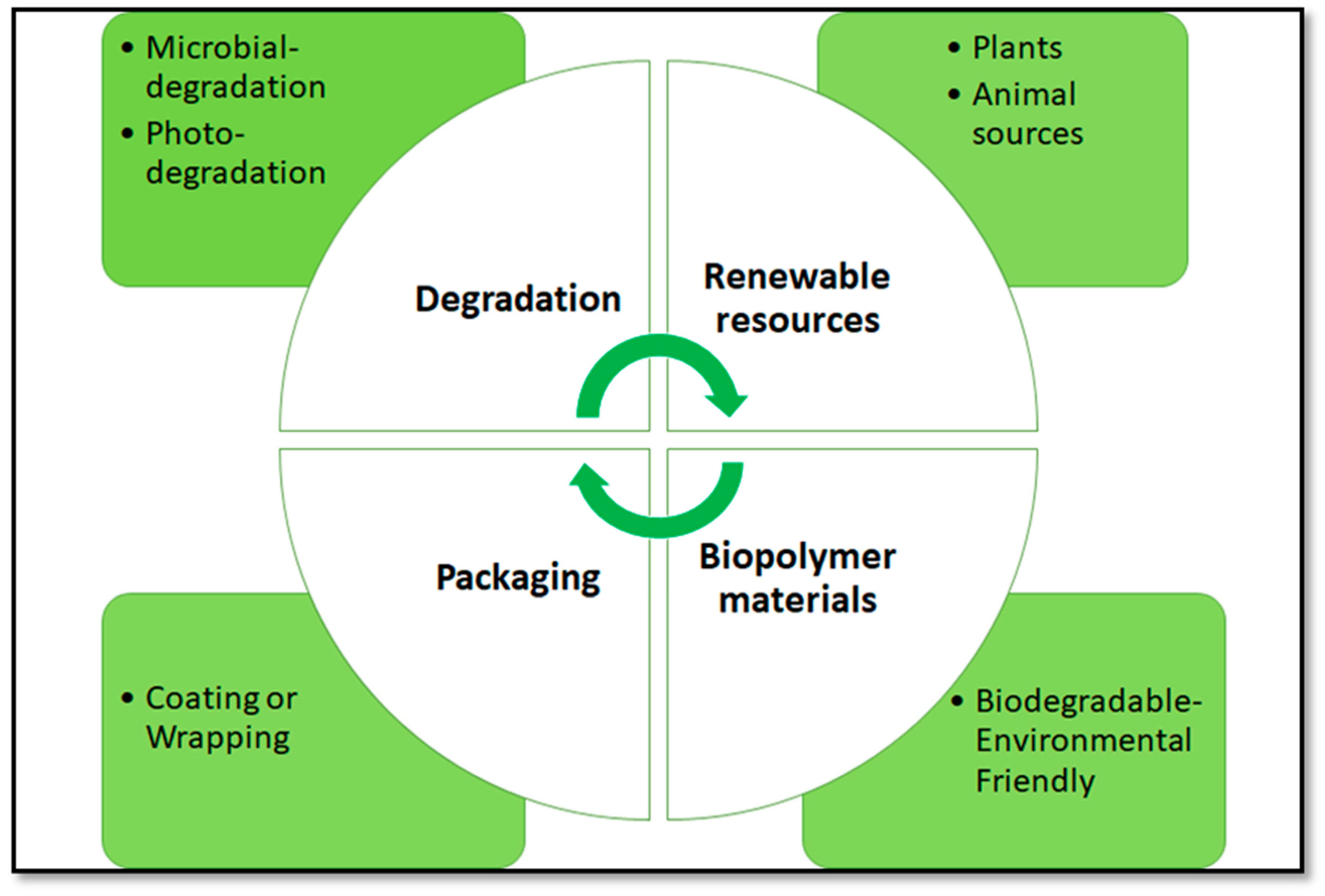 Ijms 21 03656 g001 Ijms 21 03656 g001