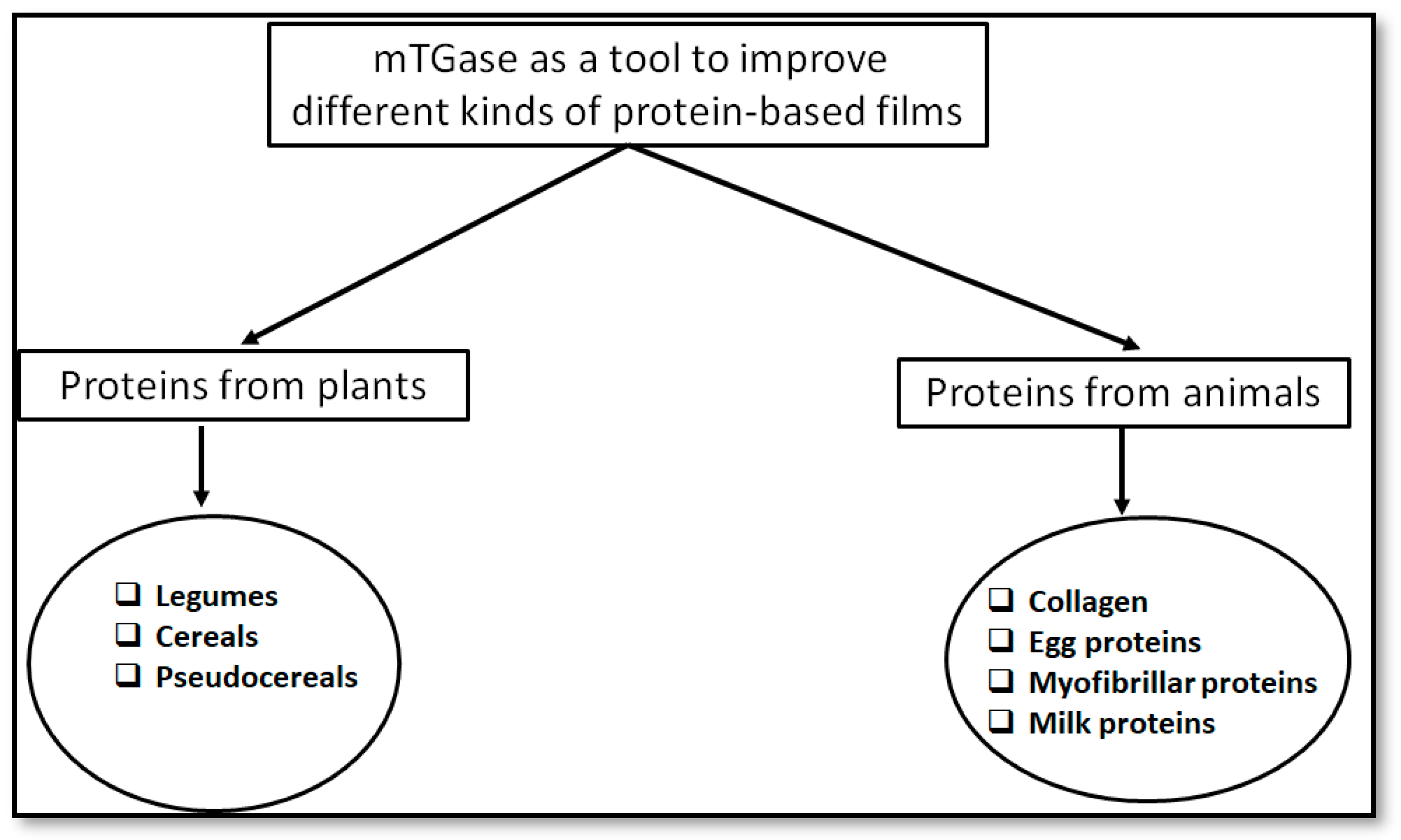 Ijms 21 03656 g003 Ijms 21 03656 g003