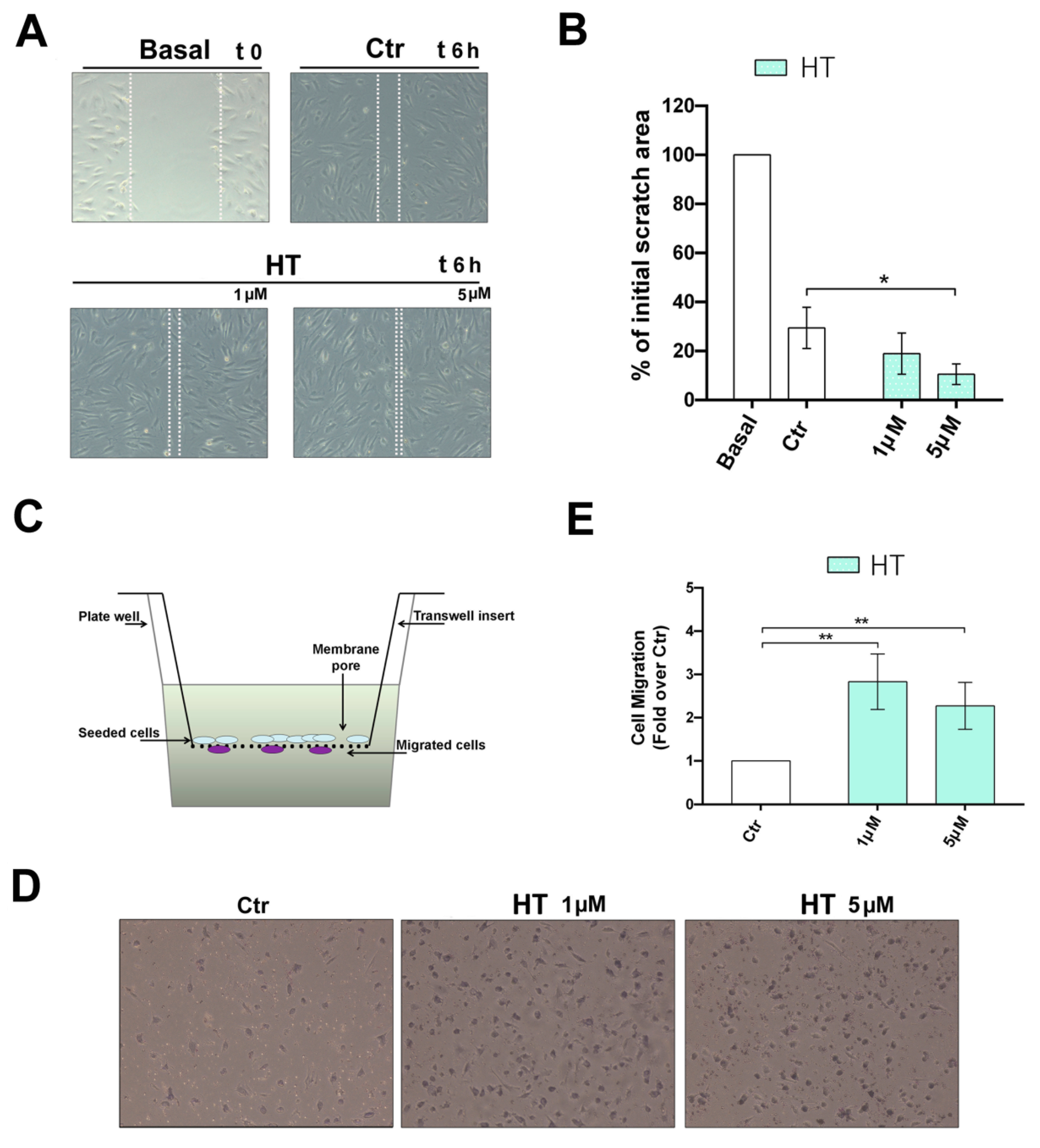 Ijms 21 03657 g002 Ijms 21 03657 g002