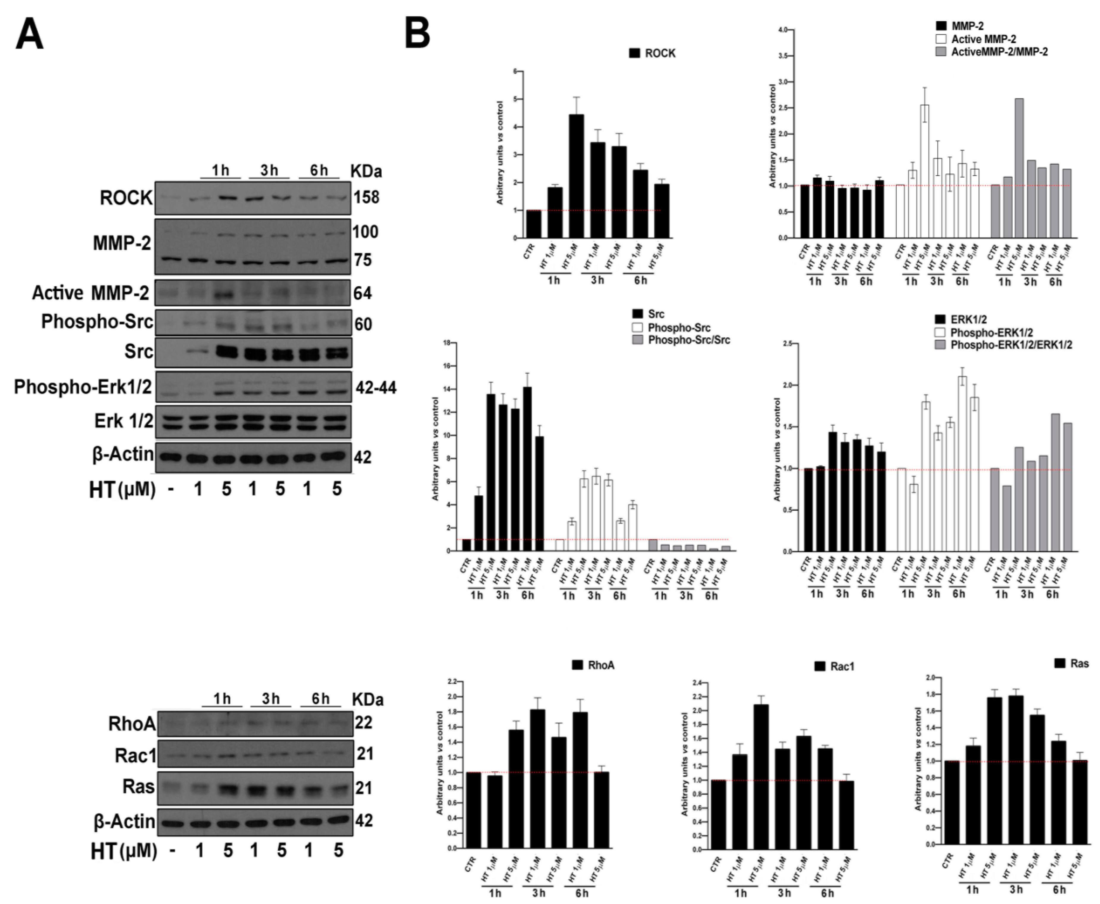 Ijms 21 03657 g003 Ijms 21 03657 g003