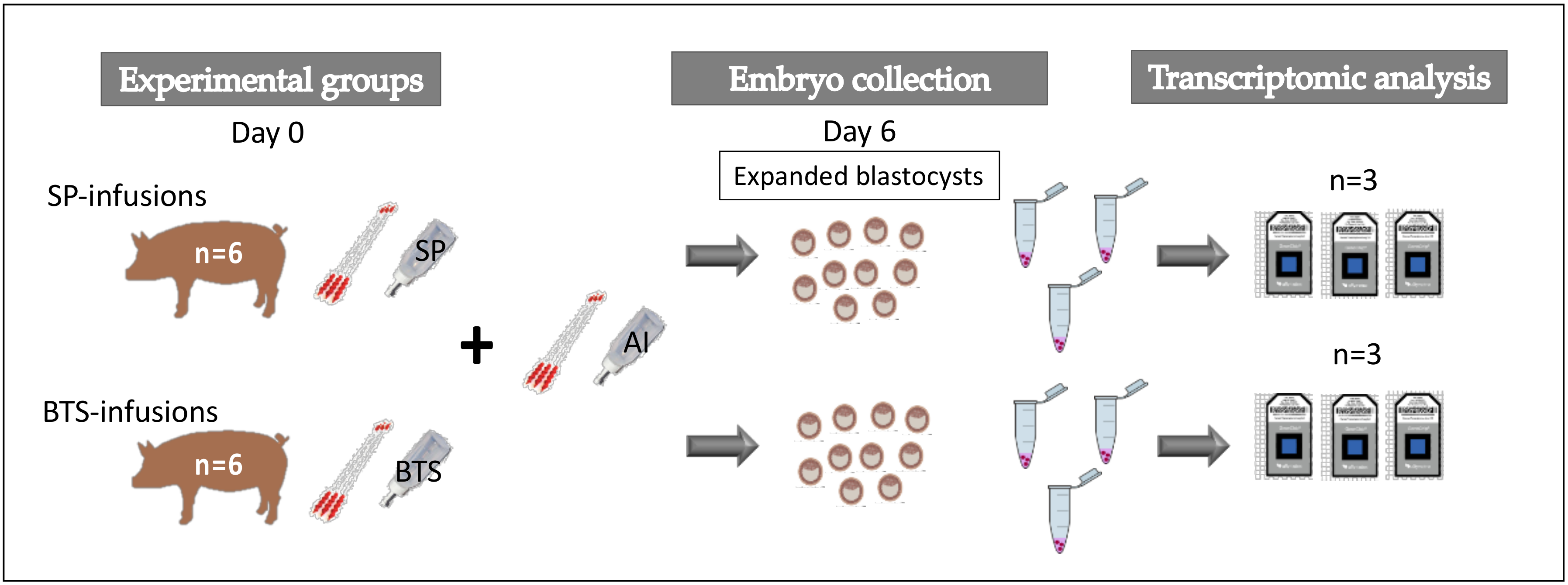 Ijms 21 03662 g005 Ijms 21 03662 g005