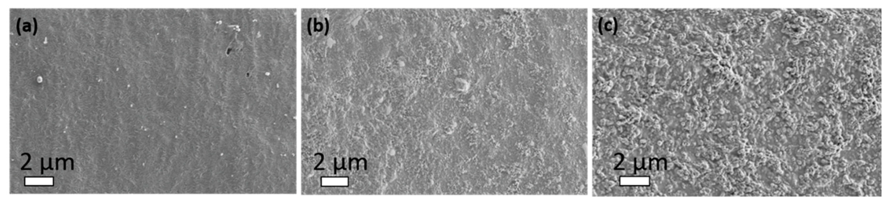 Ijms 21 03668 g005 Ijms 21 03668 g005