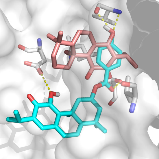 Ijms Free Full Text Activity To Breast Cancer Cell Lines Of Different Malignancy And Predicted Interaction With Protein Kinase C Isoforms Of Royleanones Html