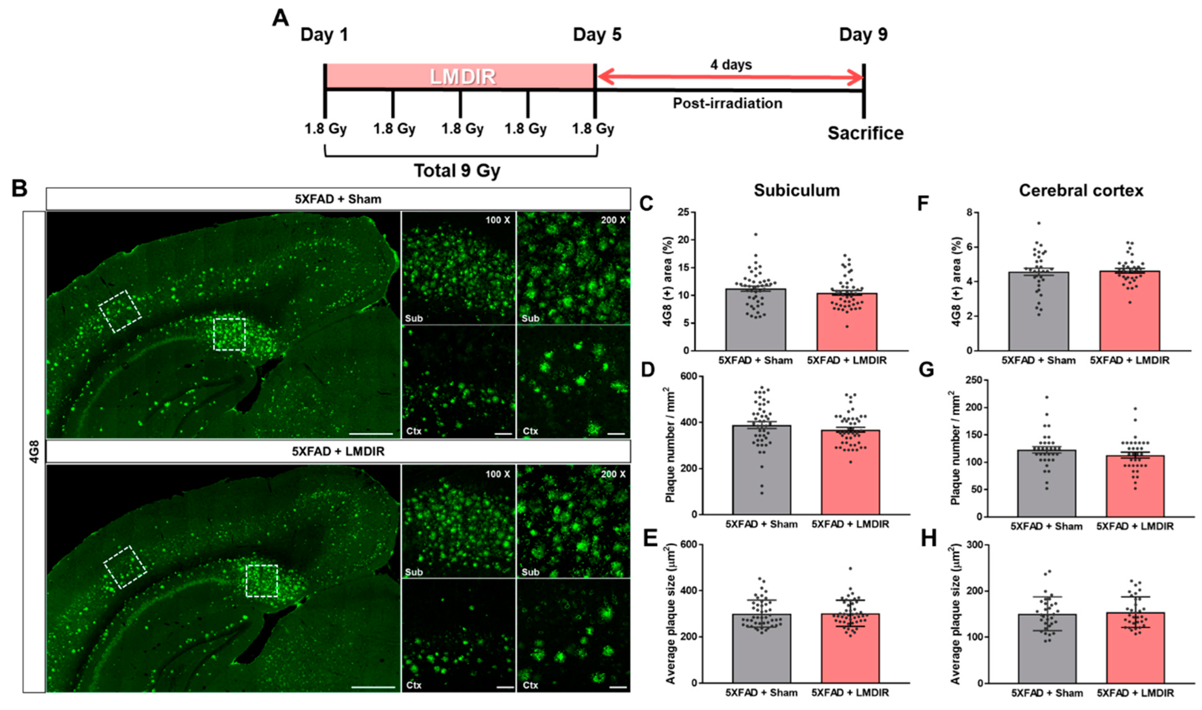 Ijms 21 03678 g001 Ijms 21 03678 g001