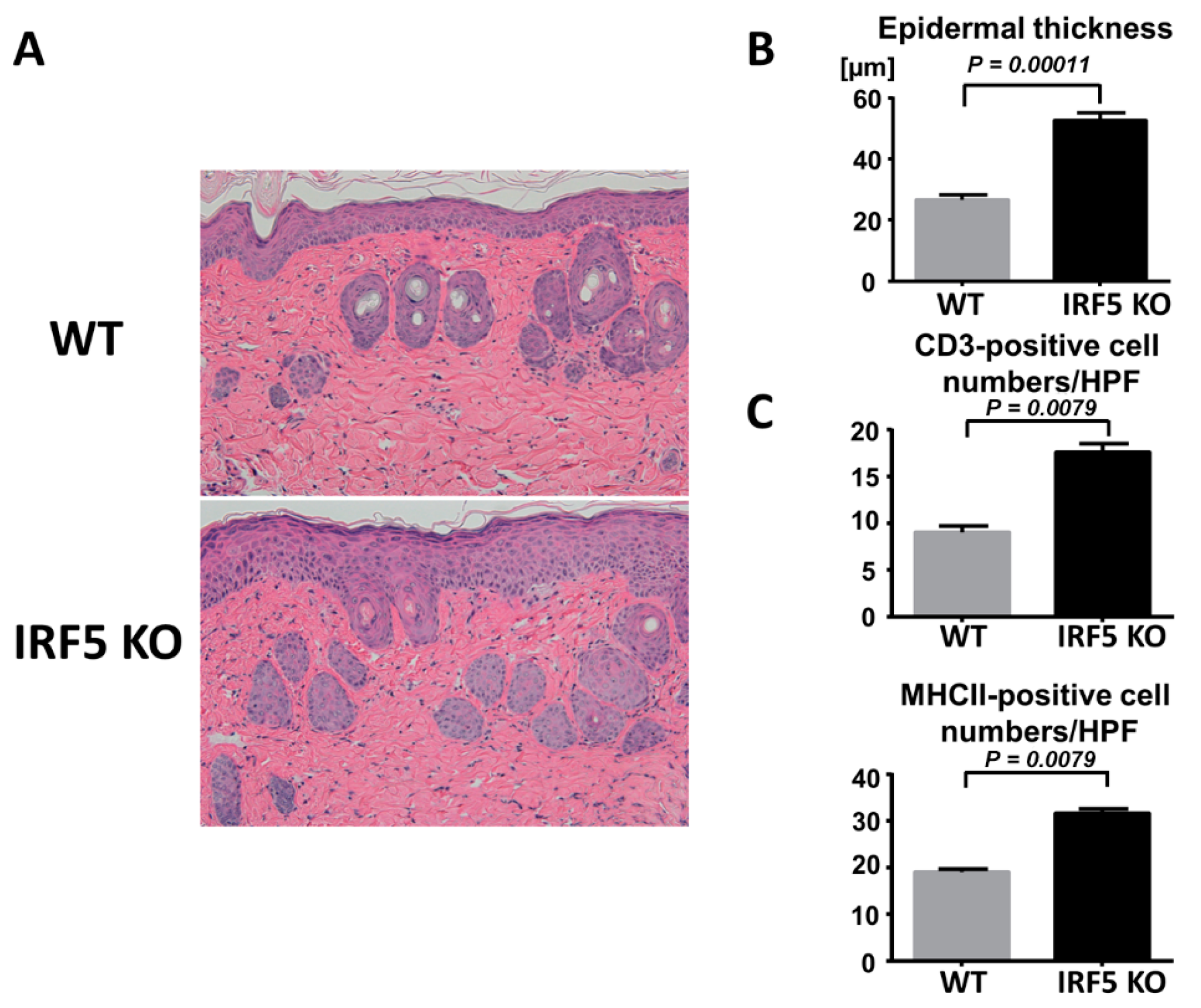 Ijms 21 03681 g002 Ijms 21 03681 g002