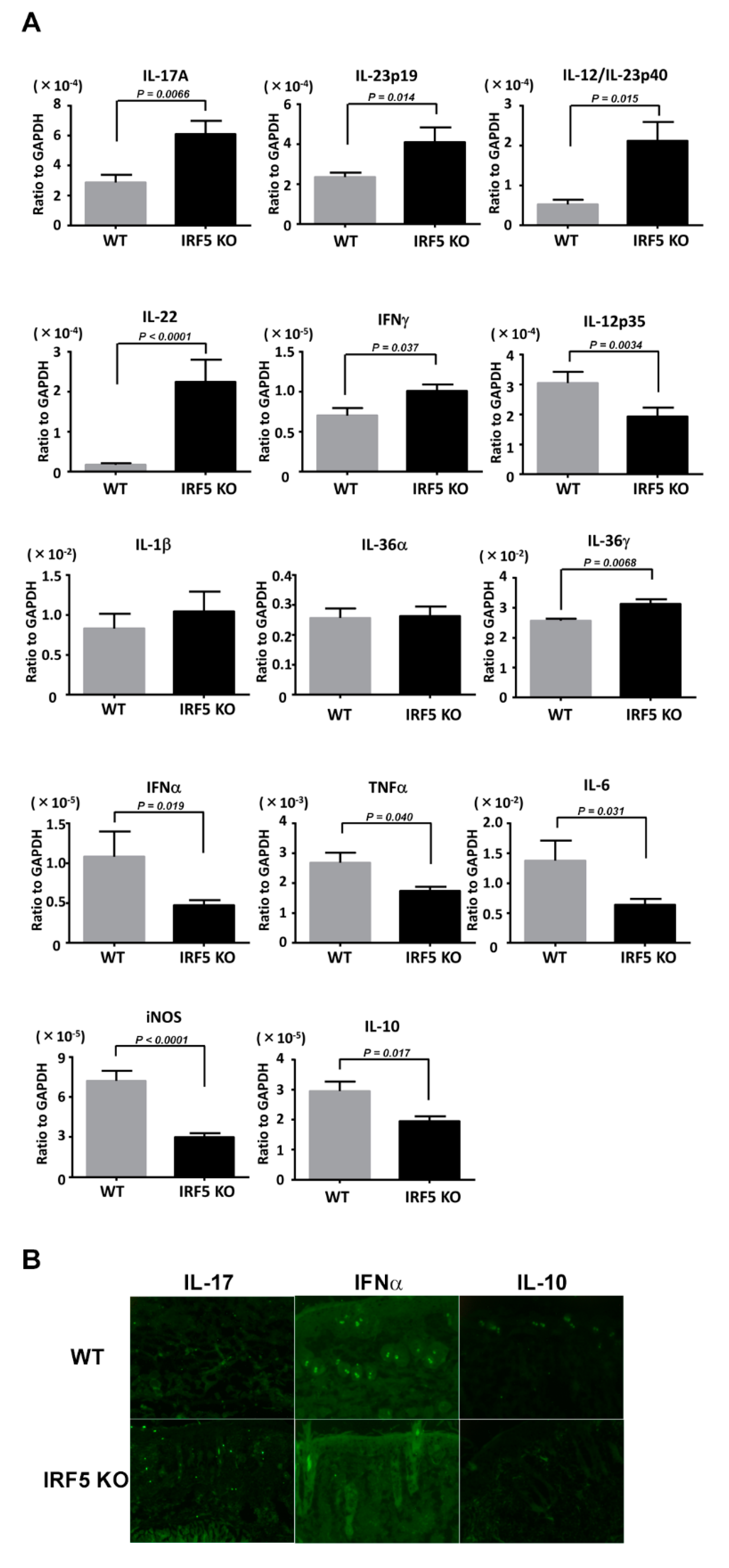 Ijms 21 03681 g003 Ijms 21 03681 g003