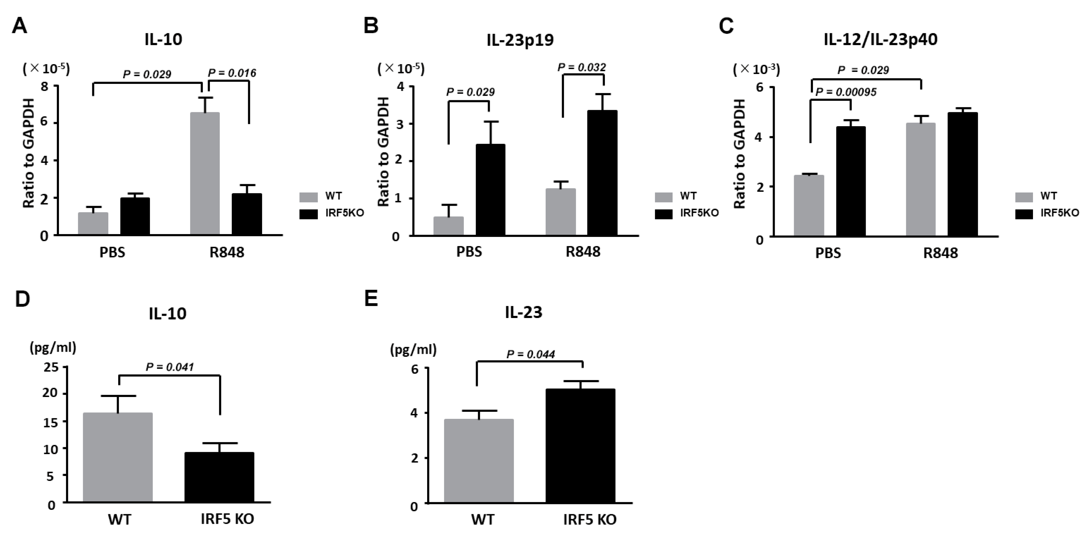 Ijms 21 03681 g004 Ijms 21 03681 g004
