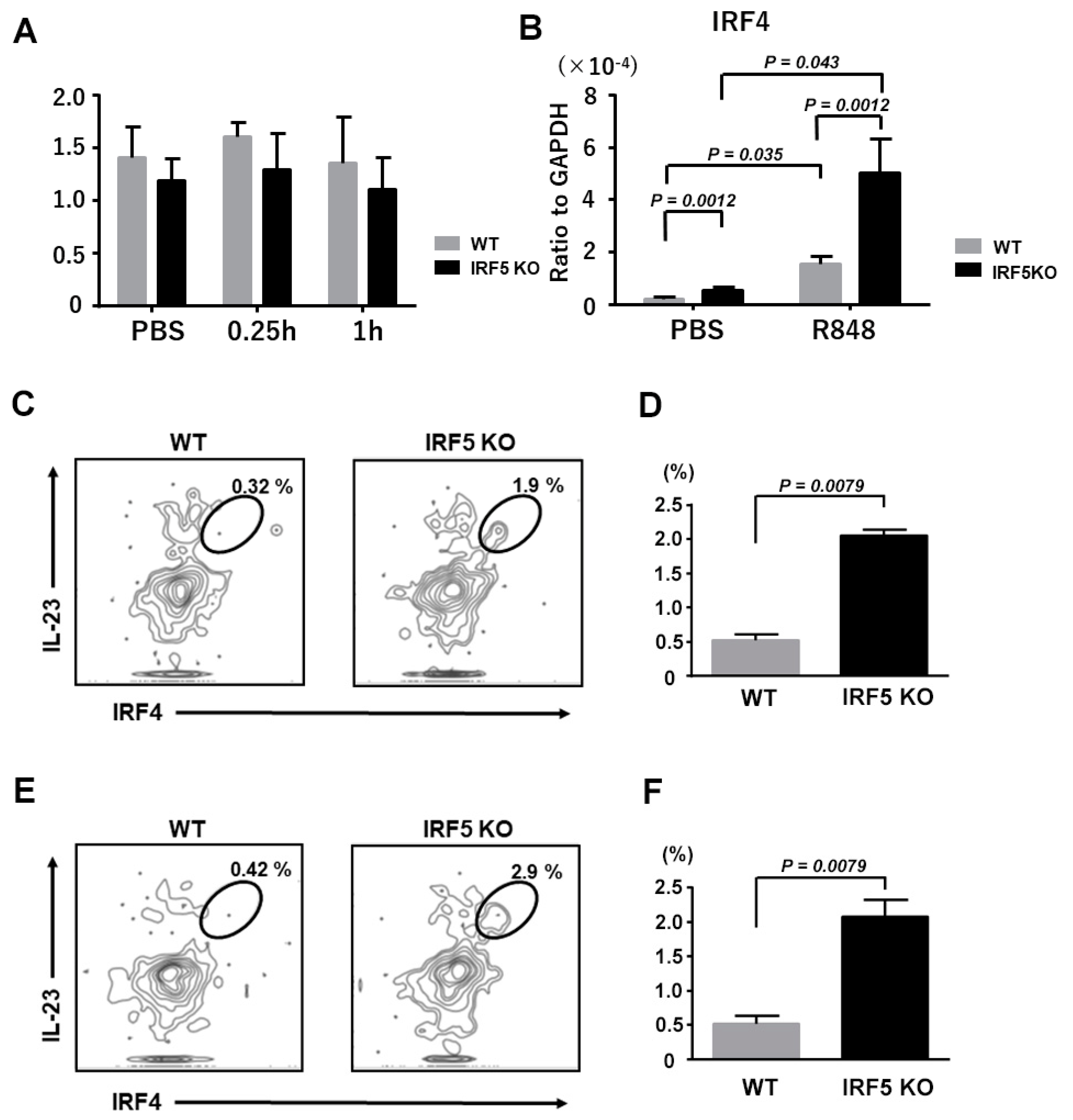 Ijms 21 03681 g005 Ijms 21 03681 g005