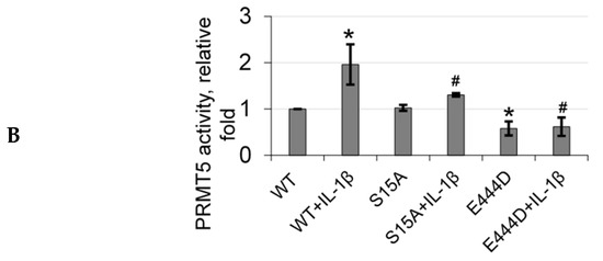Regulation of a PRMT5/NF-κB Axis by Phosphorylation of PRMT5 at Serine ...