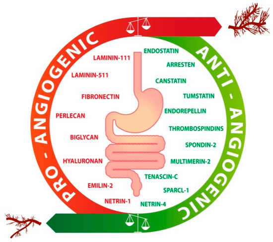激安 超特価商店街  Role Cancer Gastrointestinal in Matrix Extracellular of ネイルアート用品(筆など)
