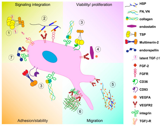 Role of Extracellular Matrix in Gastrointestinal Cancer