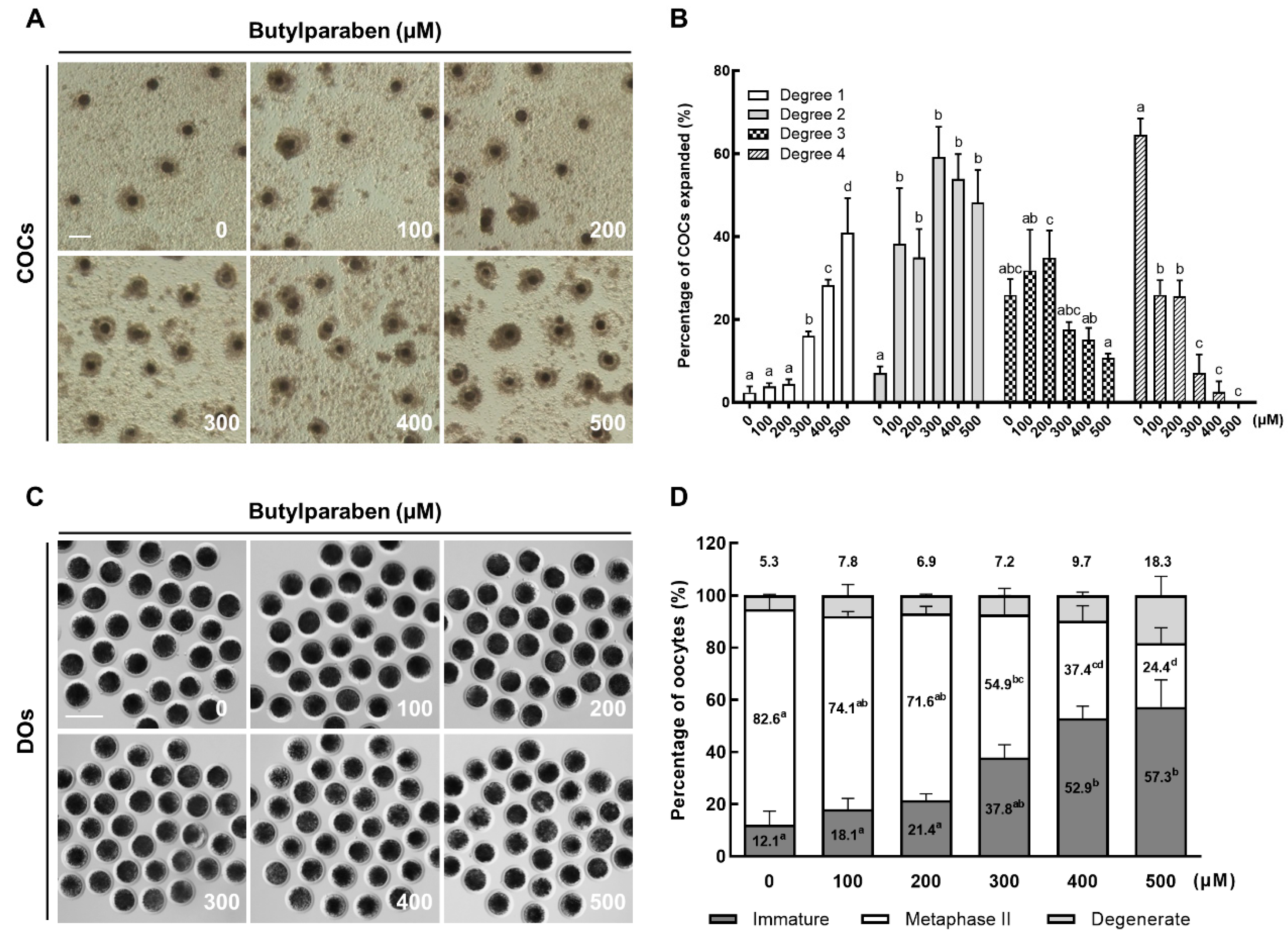 Ijms 21 03692 g001 Ijms 21 03692 g001