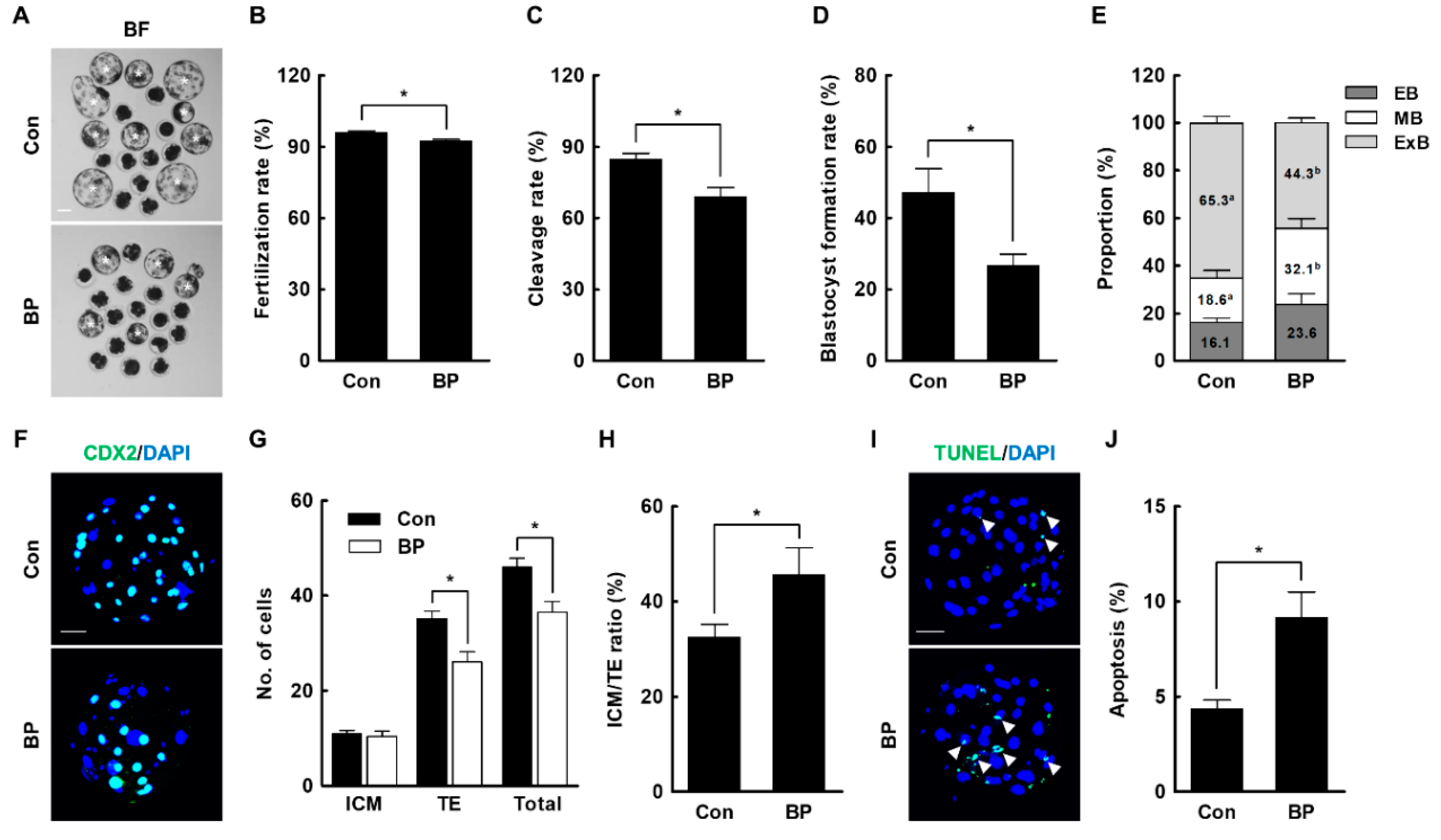 Ijms 21 03692 g002 Ijms 21 03692 g002