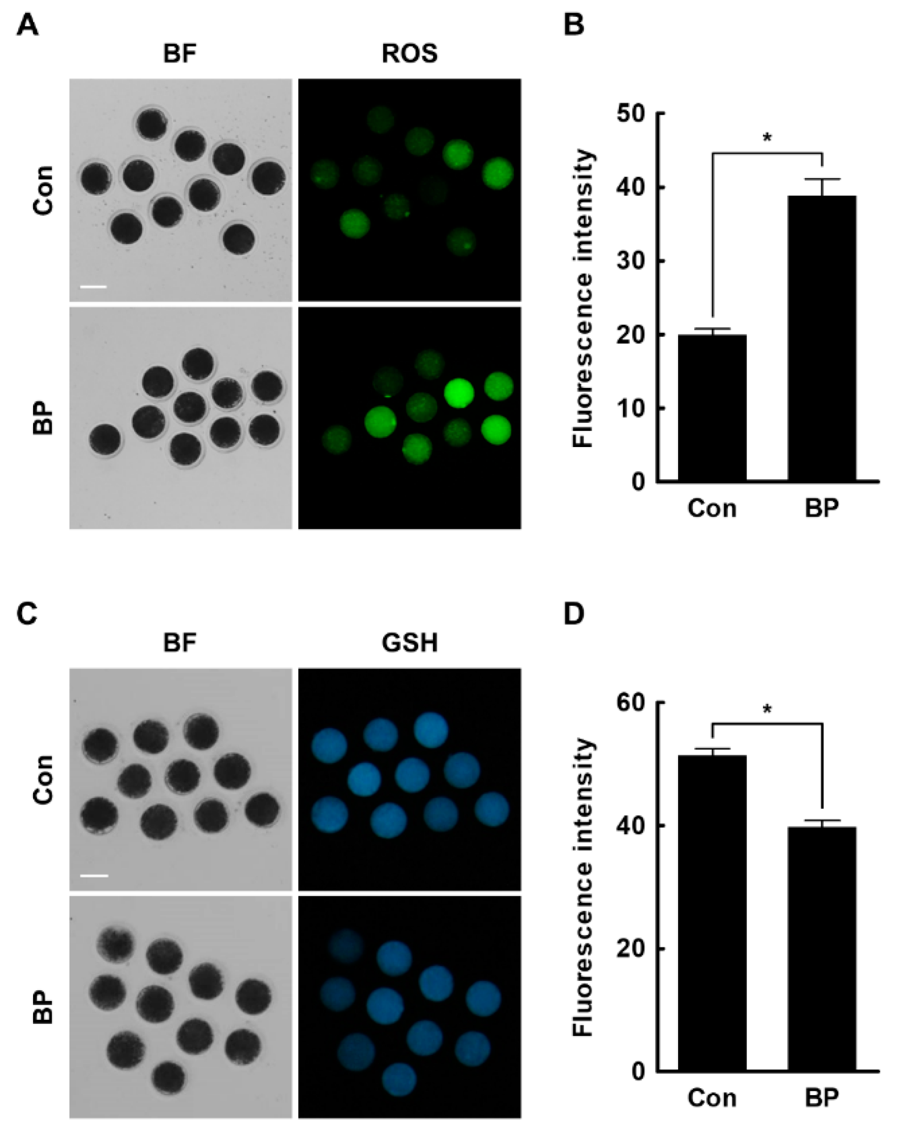 Ijms 21 03692 g003 Ijms 21 03692 g003
