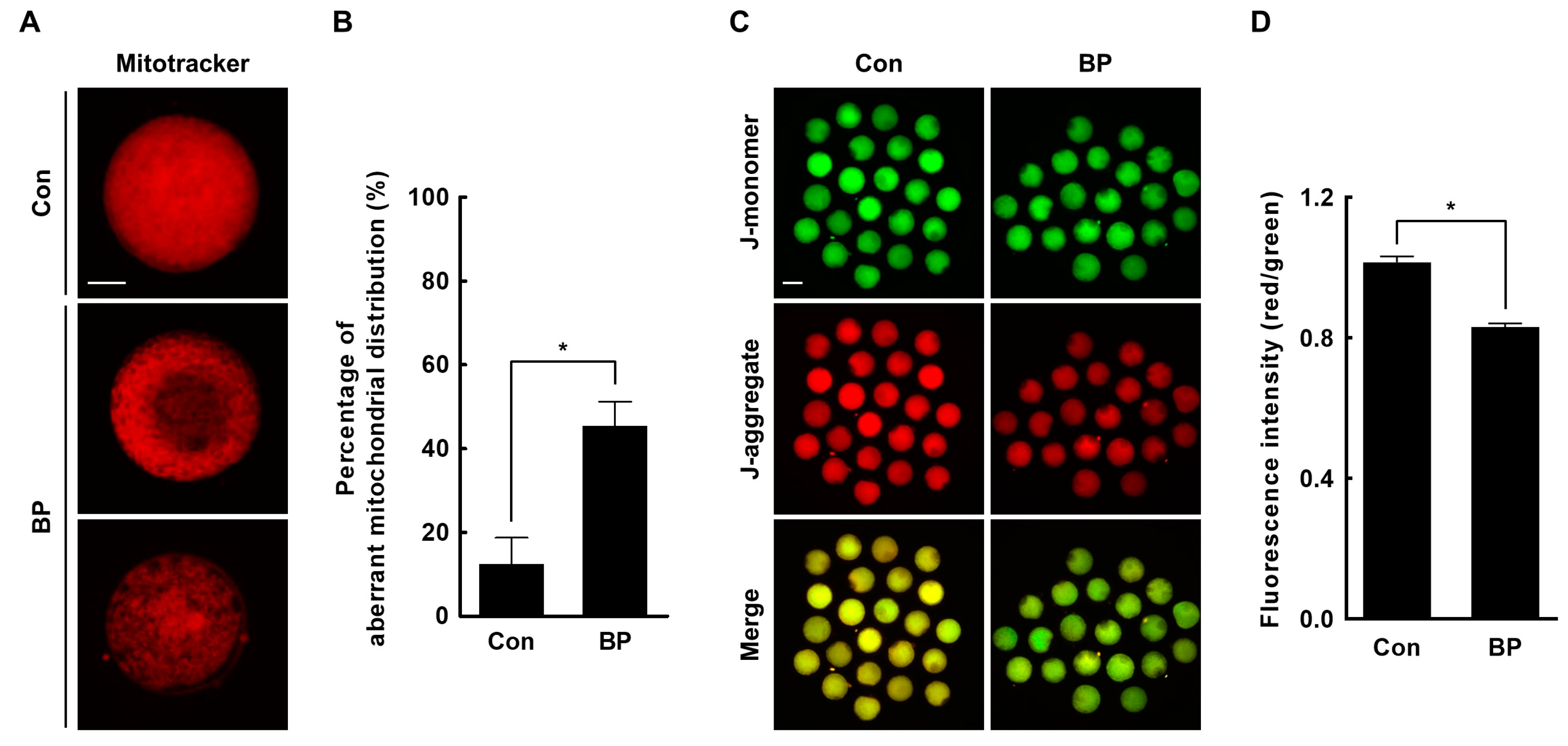 Ijms 21 03692 g004 Ijms 21 03692 g004