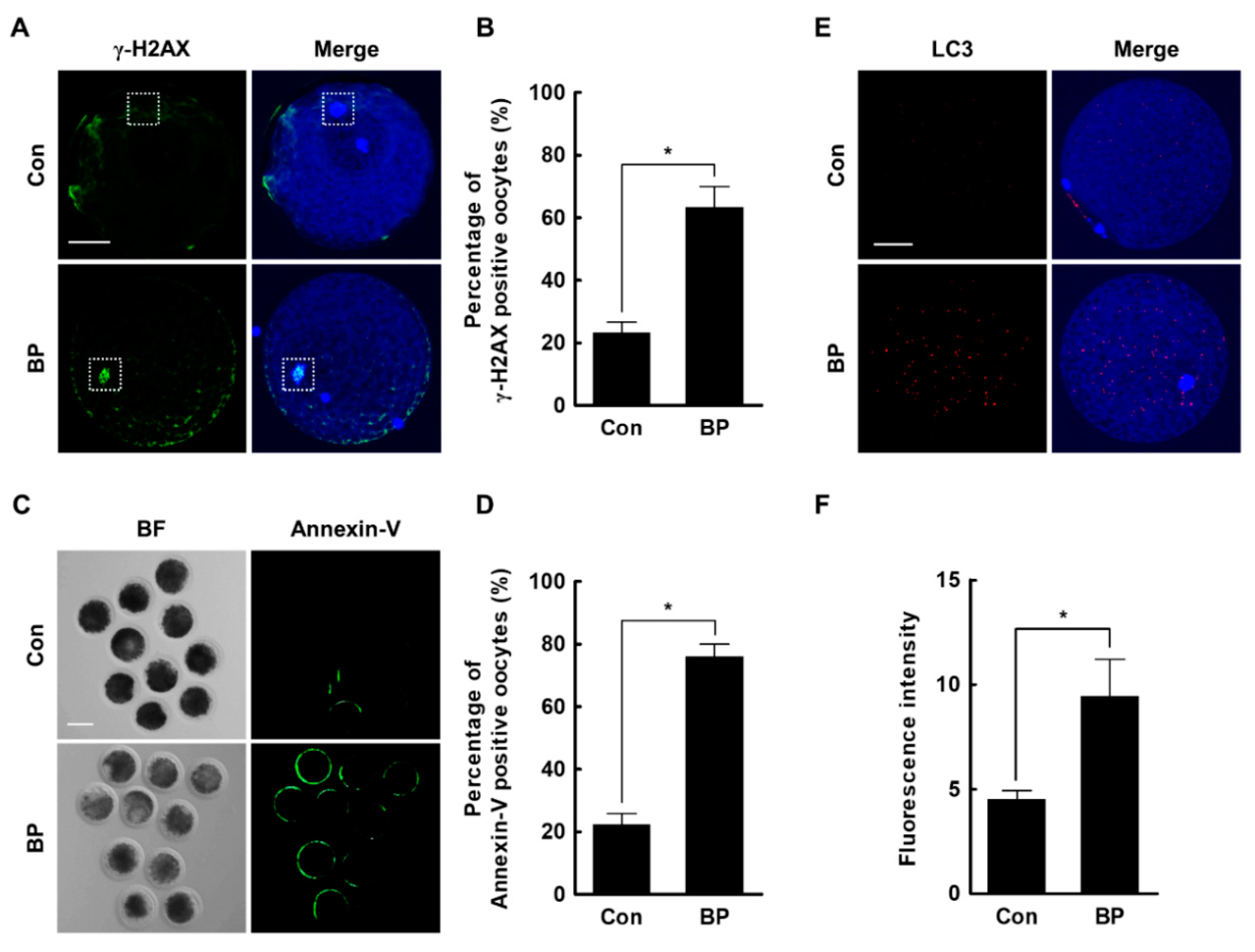 Ijms 21 03692 g005 Ijms 21 03692 g005
