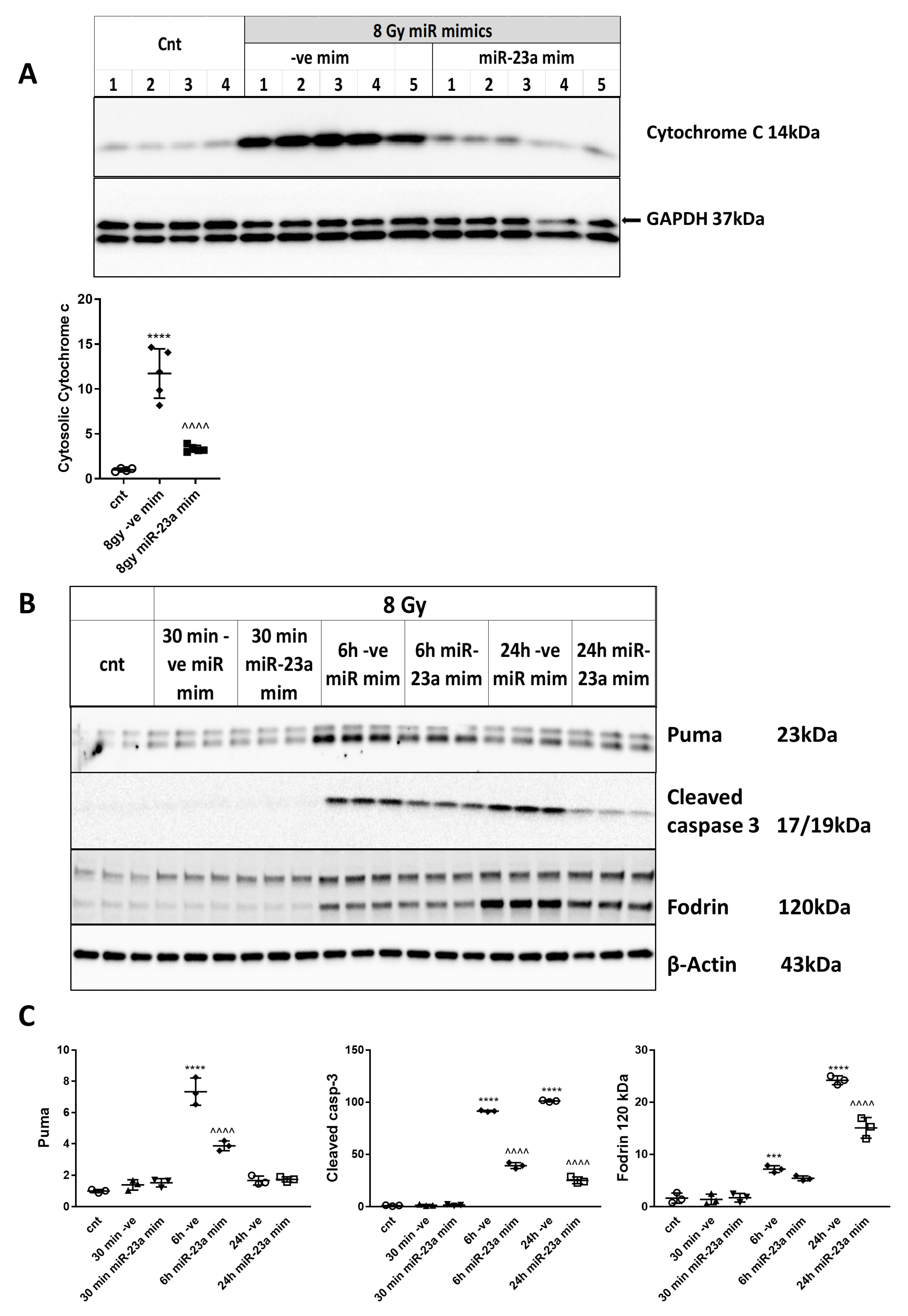 Ijms 21 03695 g008 Ijms 21 03695 g008