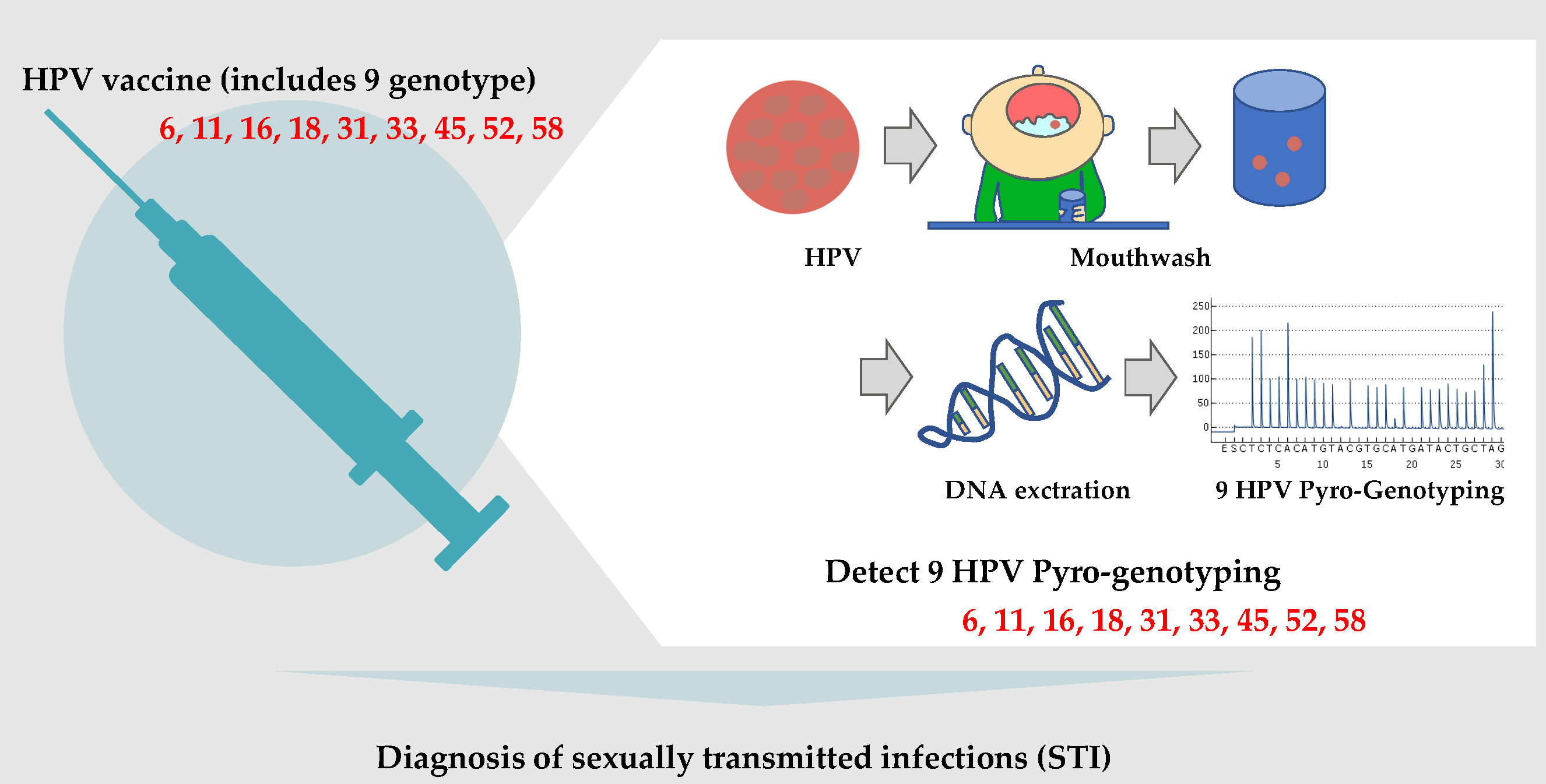 takara pcr human papillomavirus detection set alimente bune pentru colon