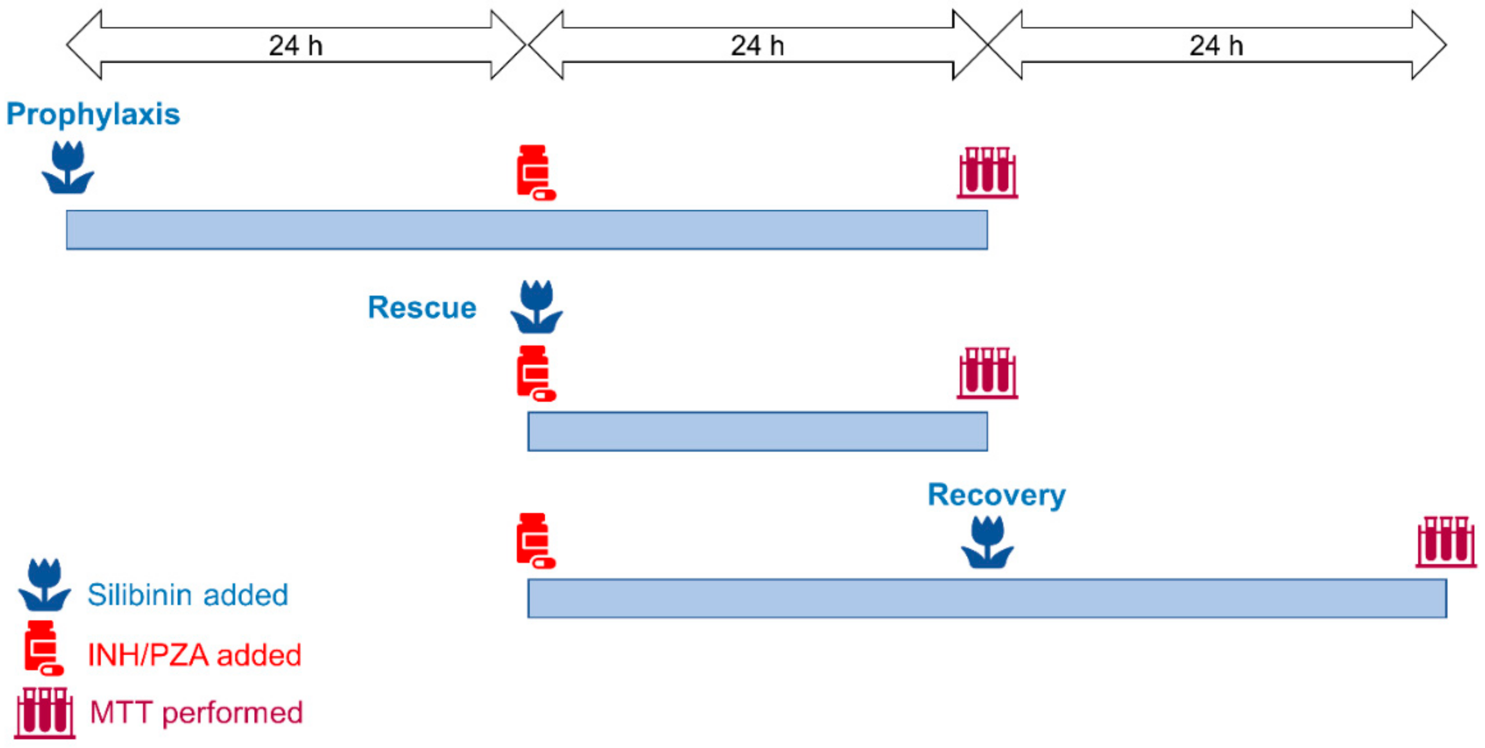 Ijms 21 03714 g001 Ijms 21 03714 g001