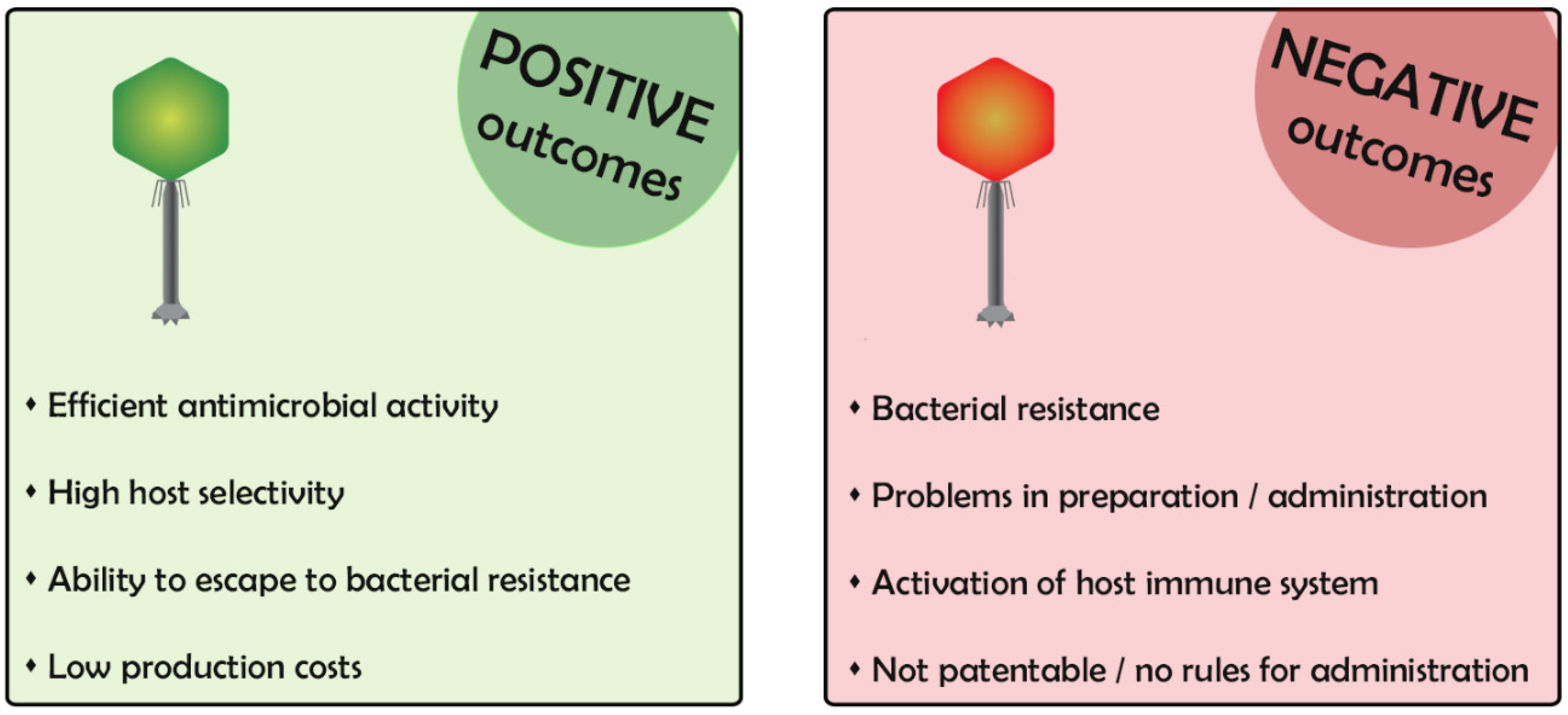 Ijms 21 03715 g001 Ijms 21 03715 g001