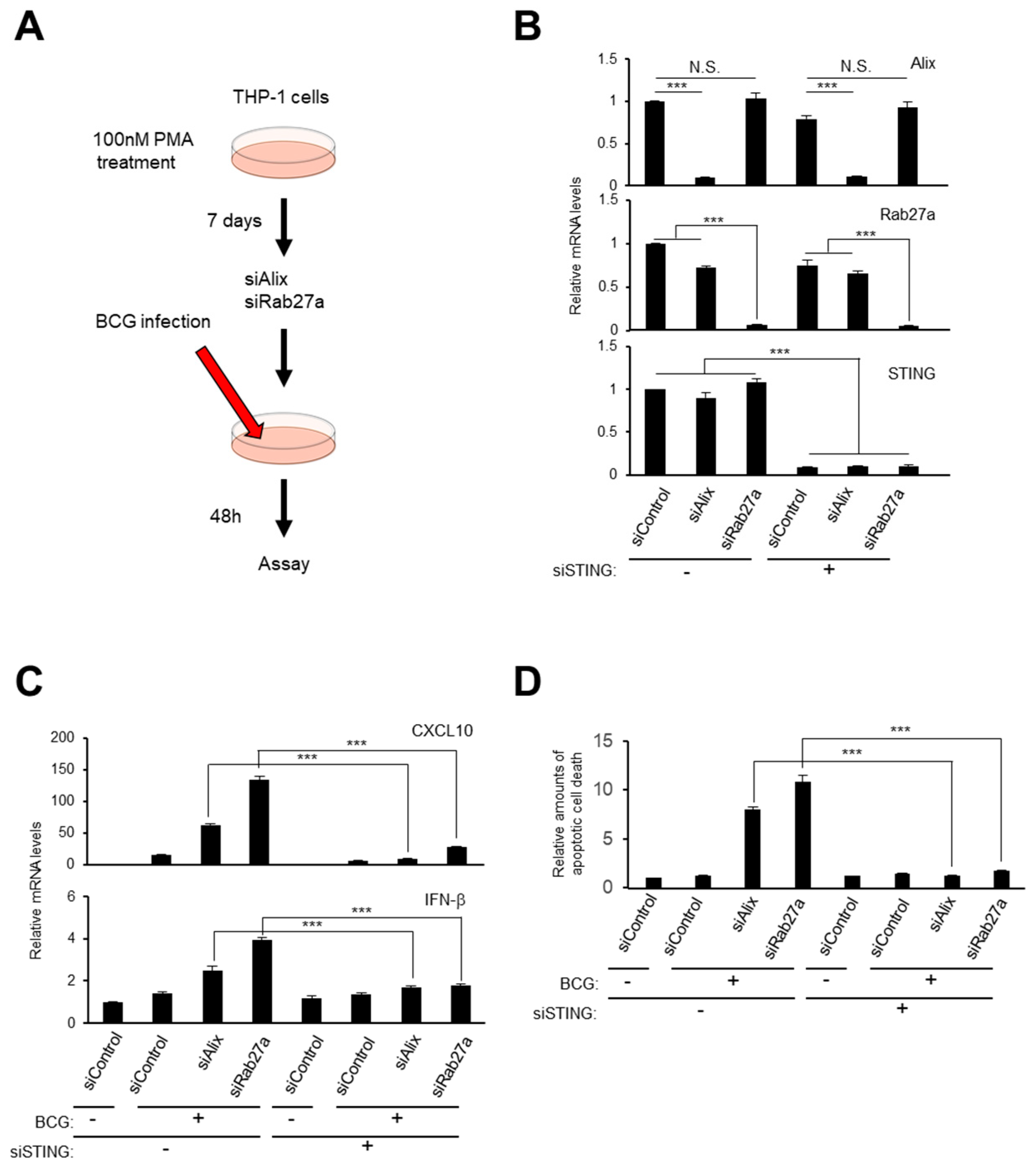 Ijms 21 03720 g005 Ijms 21 03720 g005