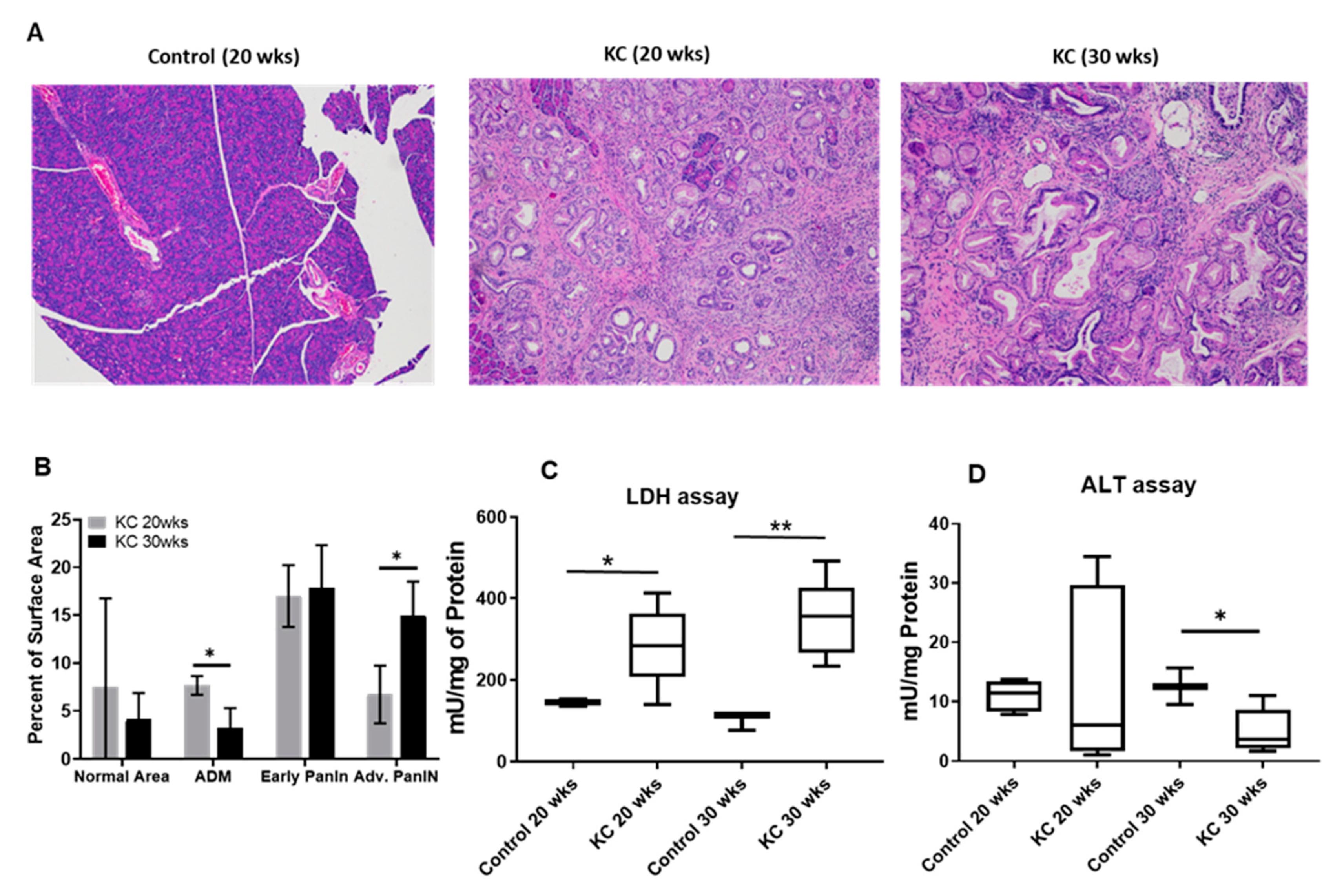 Ijms 21 03722 g001 Ijms 21 03722 g001
