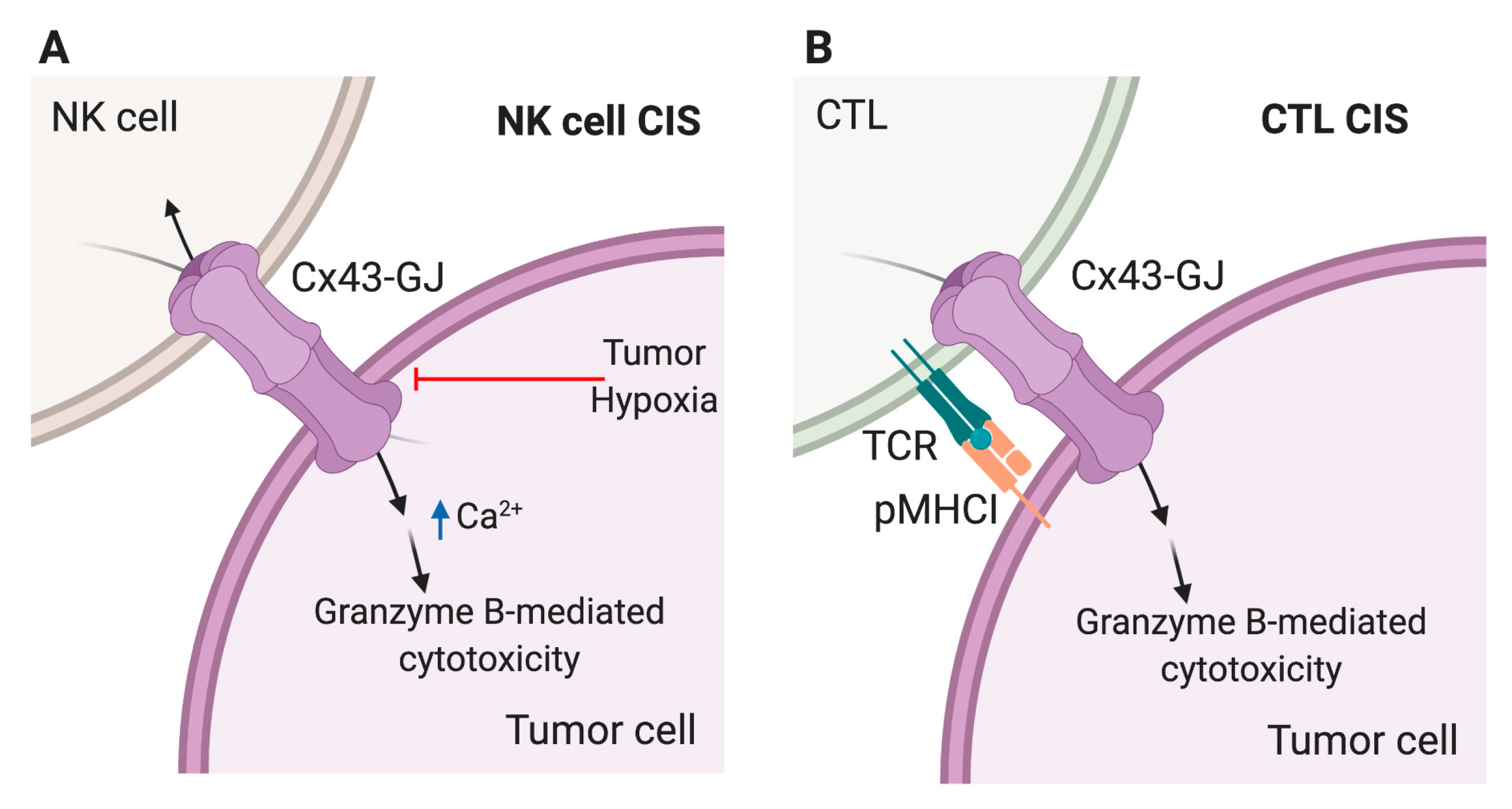 Ijms 21 03736 g003 Ijms 21 03736 g003