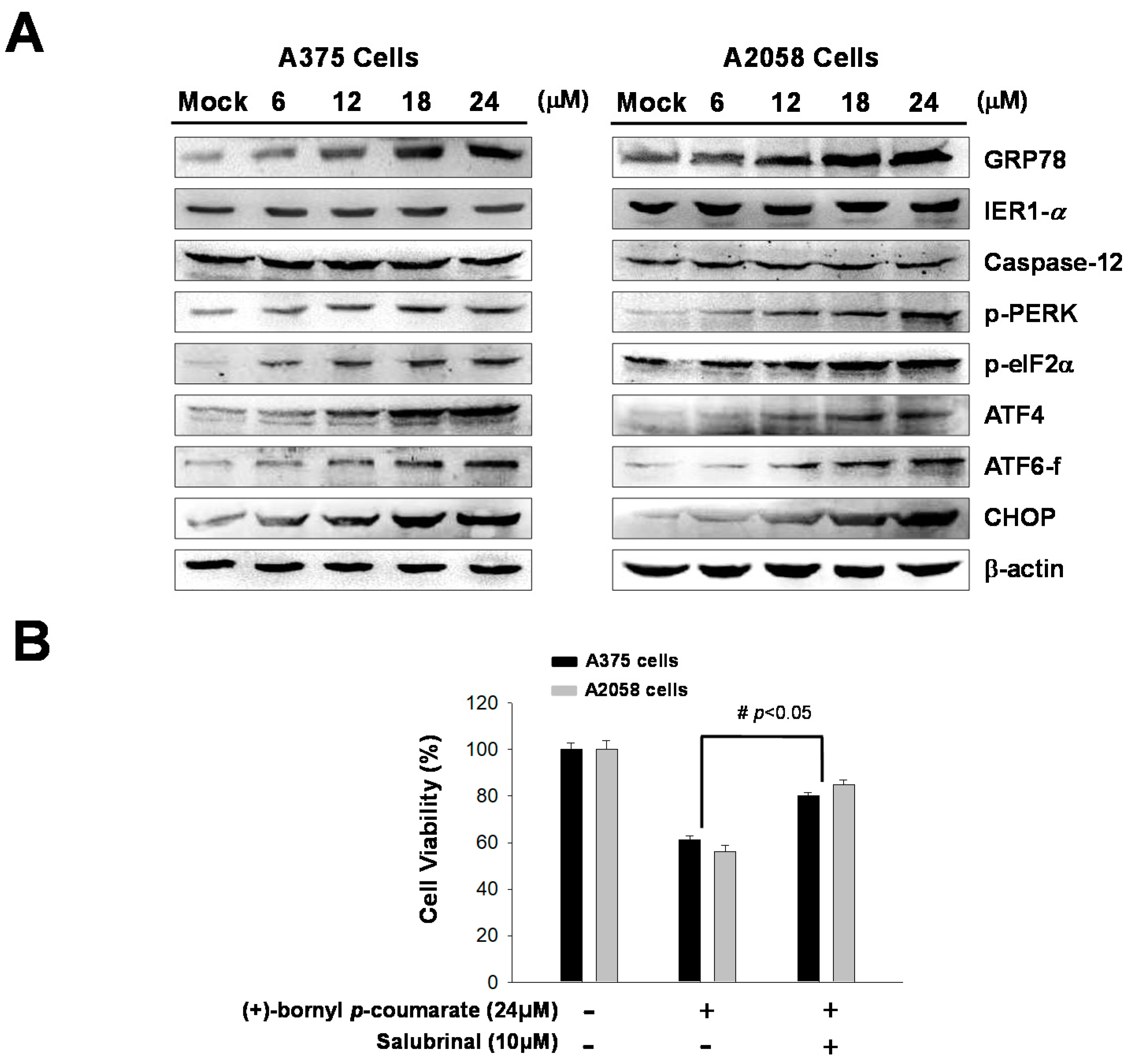 Ijms 21 03737 g005 Ijms 21 03737 g005