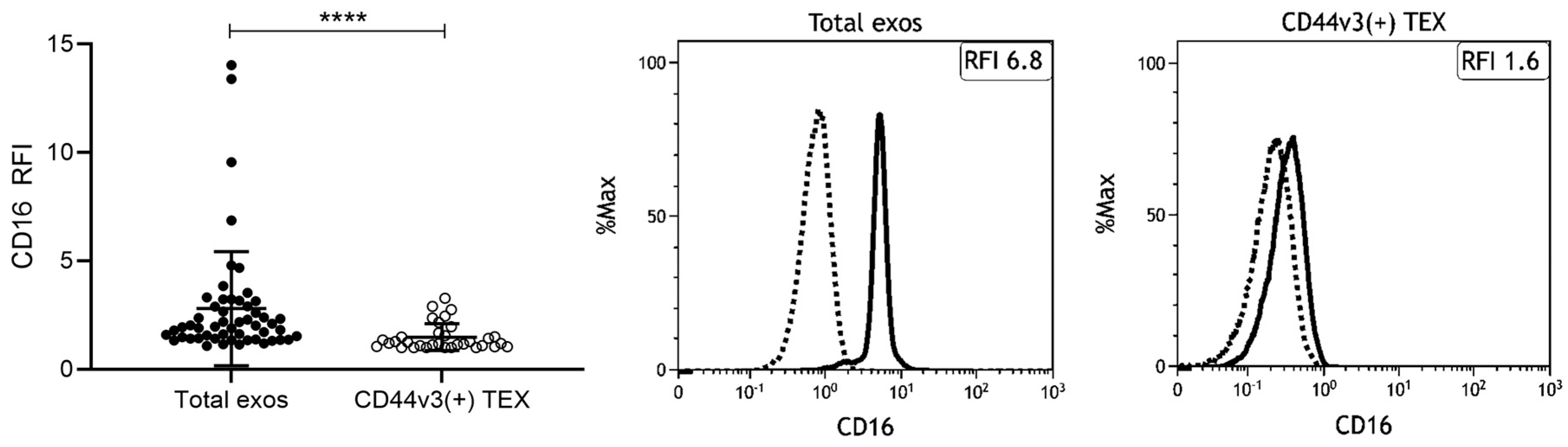 Ijms 21 03739 g004 Ijms 21 03739 g004