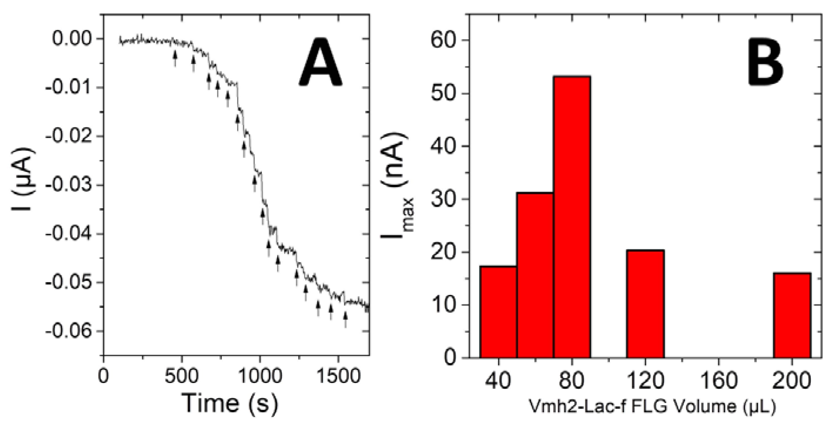 Ijms 21 03741 g004 Ijms 21 03741 g004