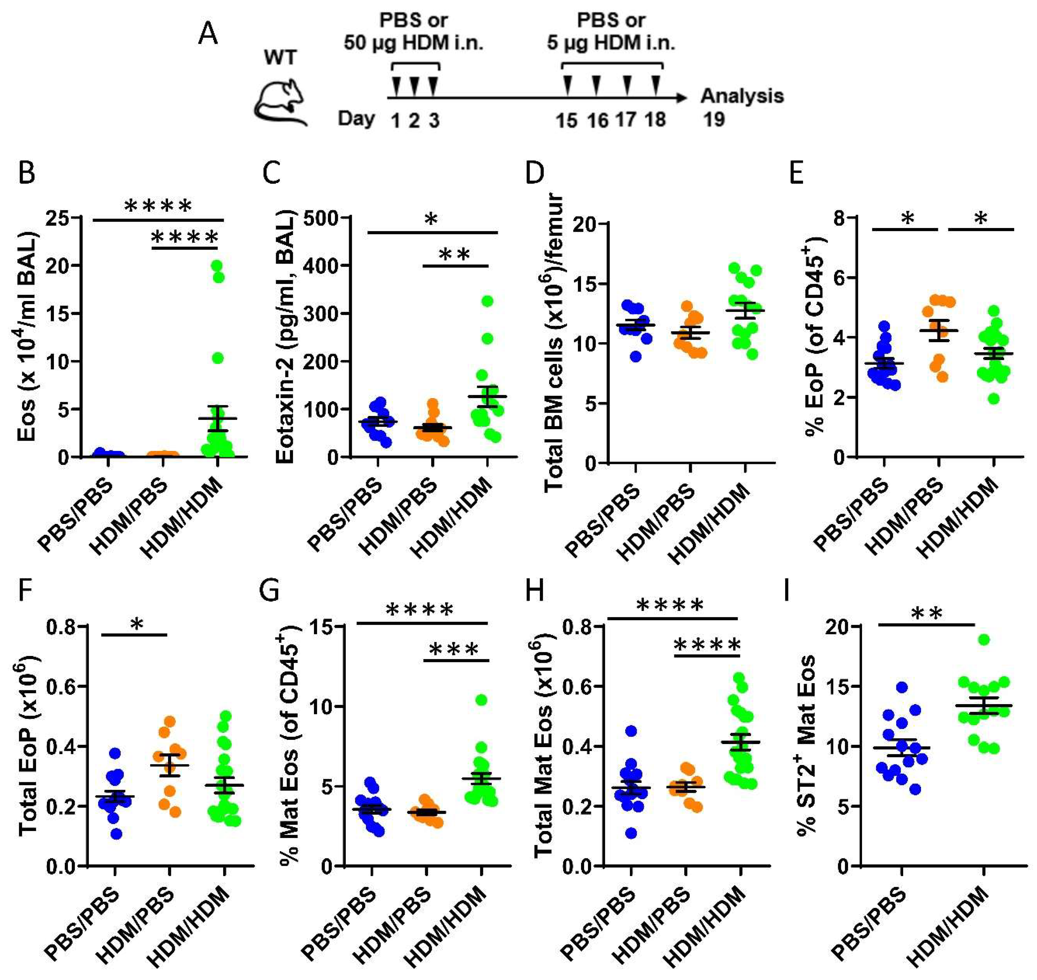 Ijms 21 03751 g001 Ijms 21 03751 g001