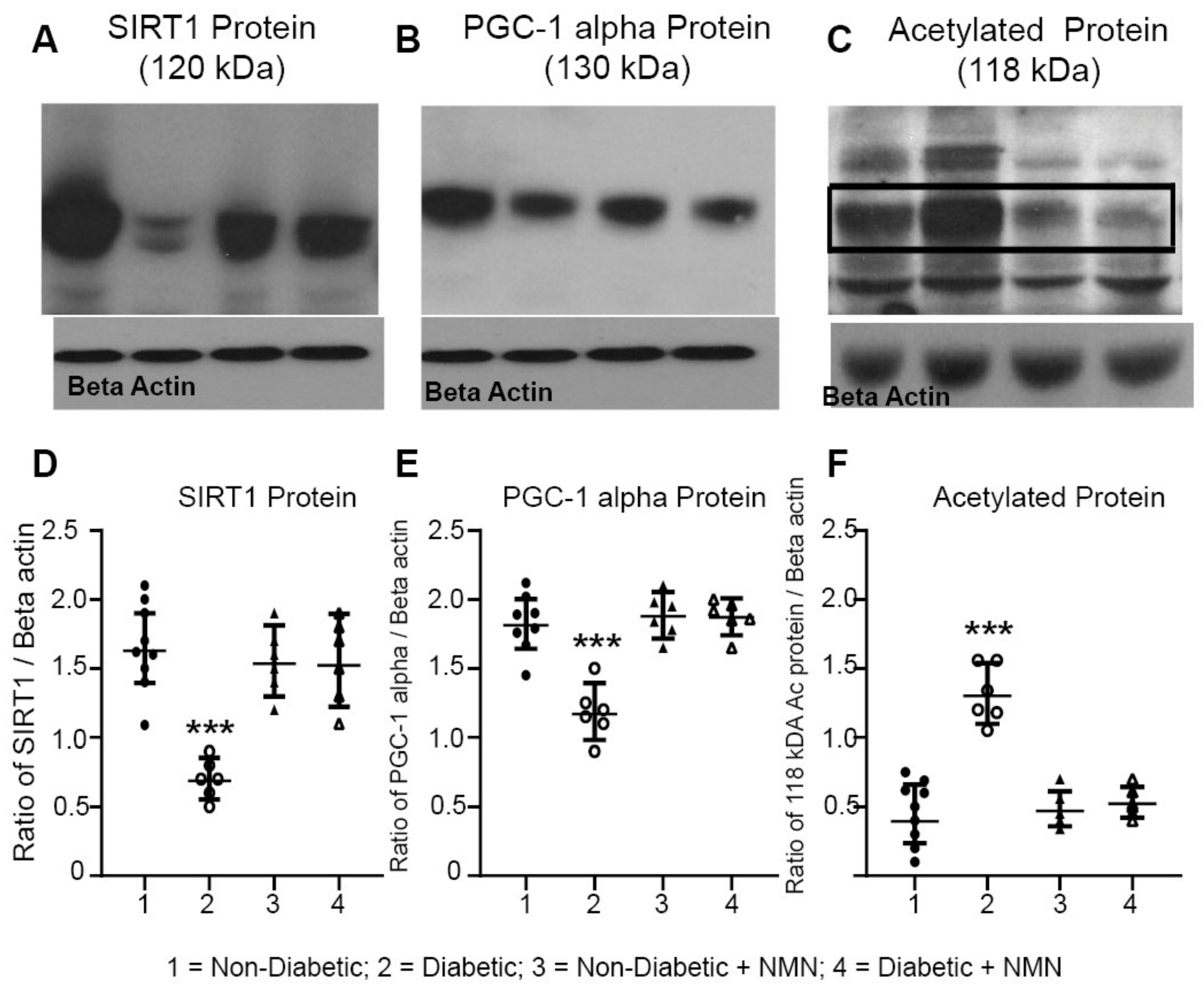 Ijms 21 03756 g005 Ijms 21 03756 g005