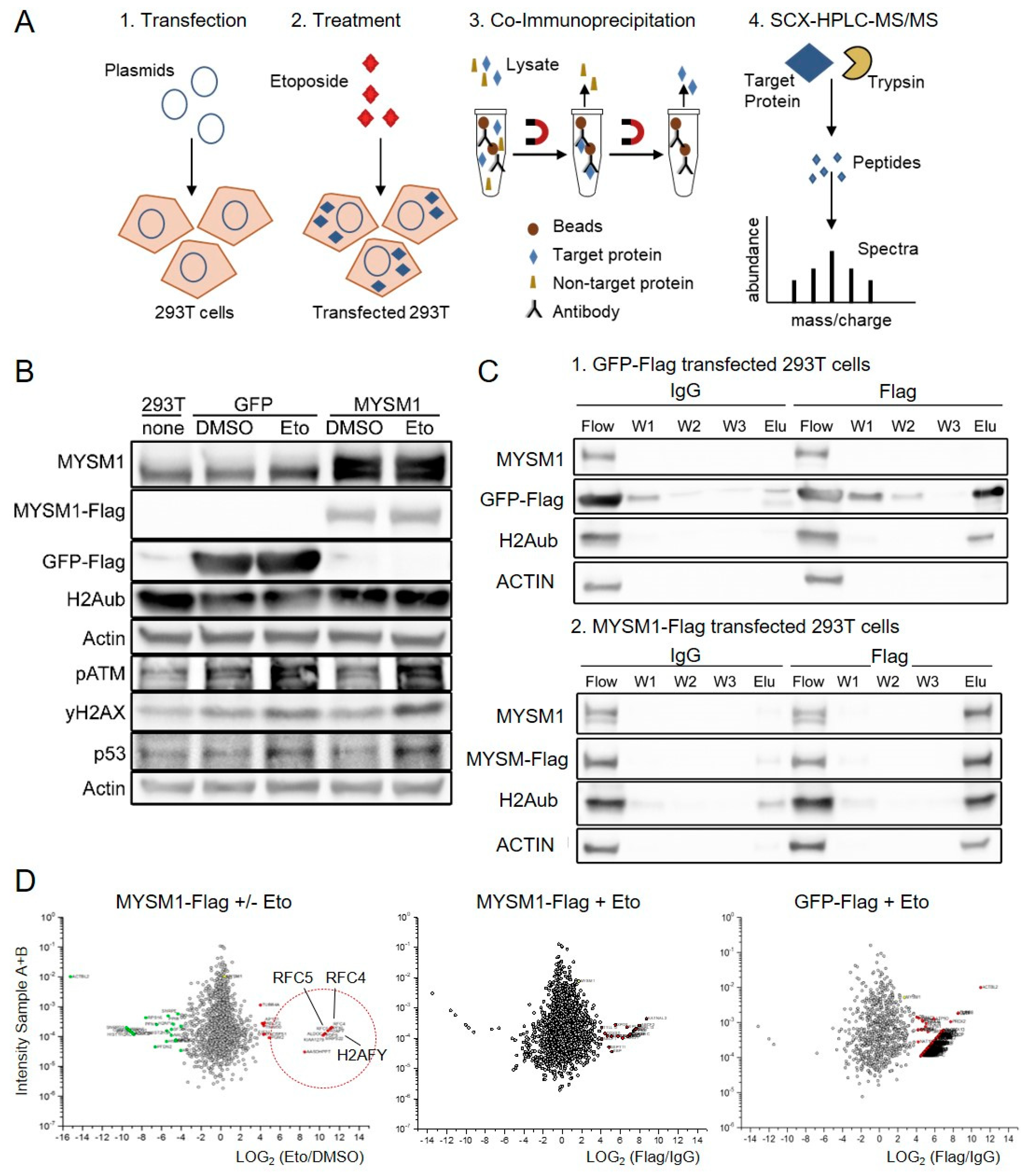 Ijms 21 03762 g002 Ijms 21 03762 g002