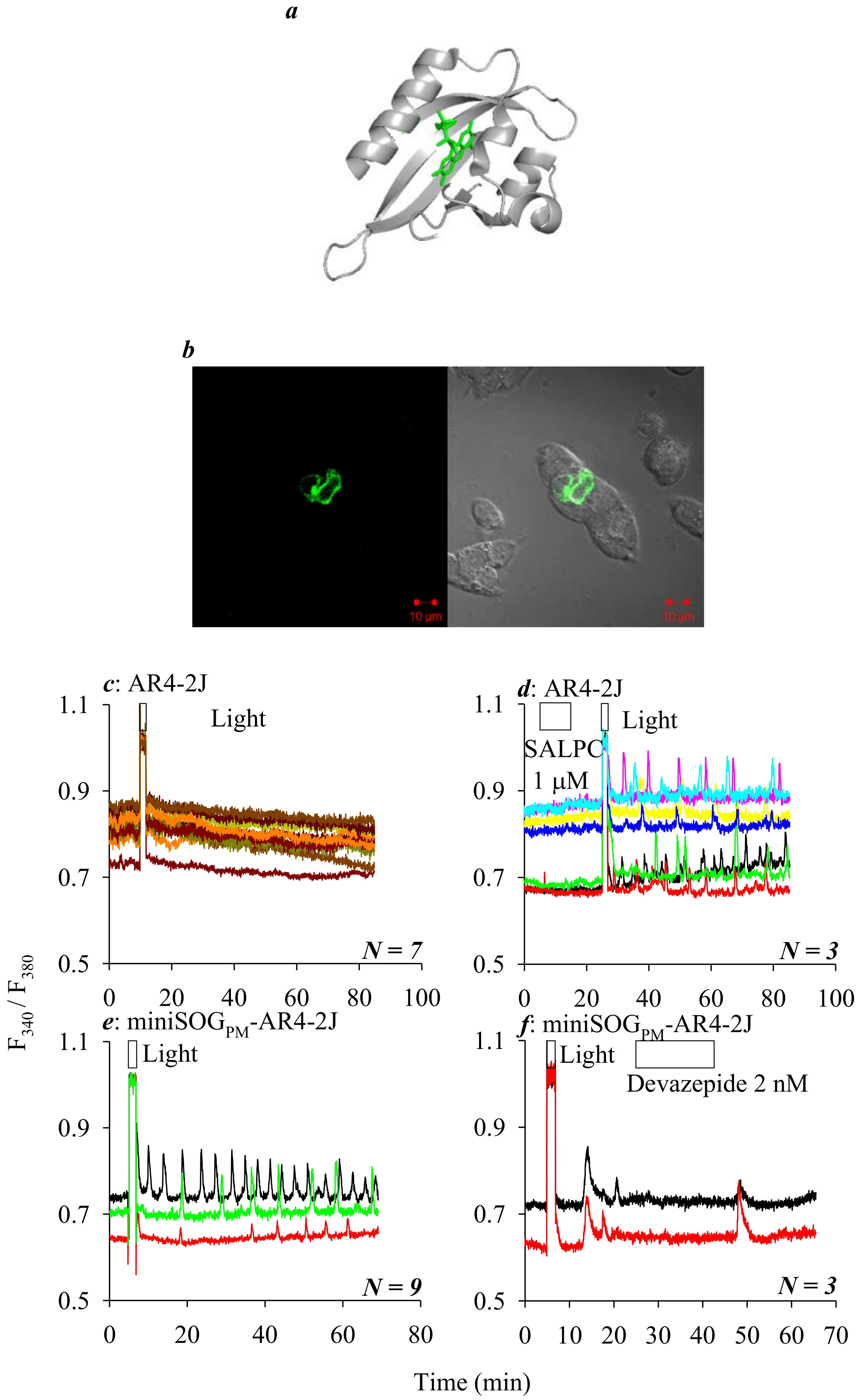 Ijms 21 03763 g001 Ijms 21 03763 g001