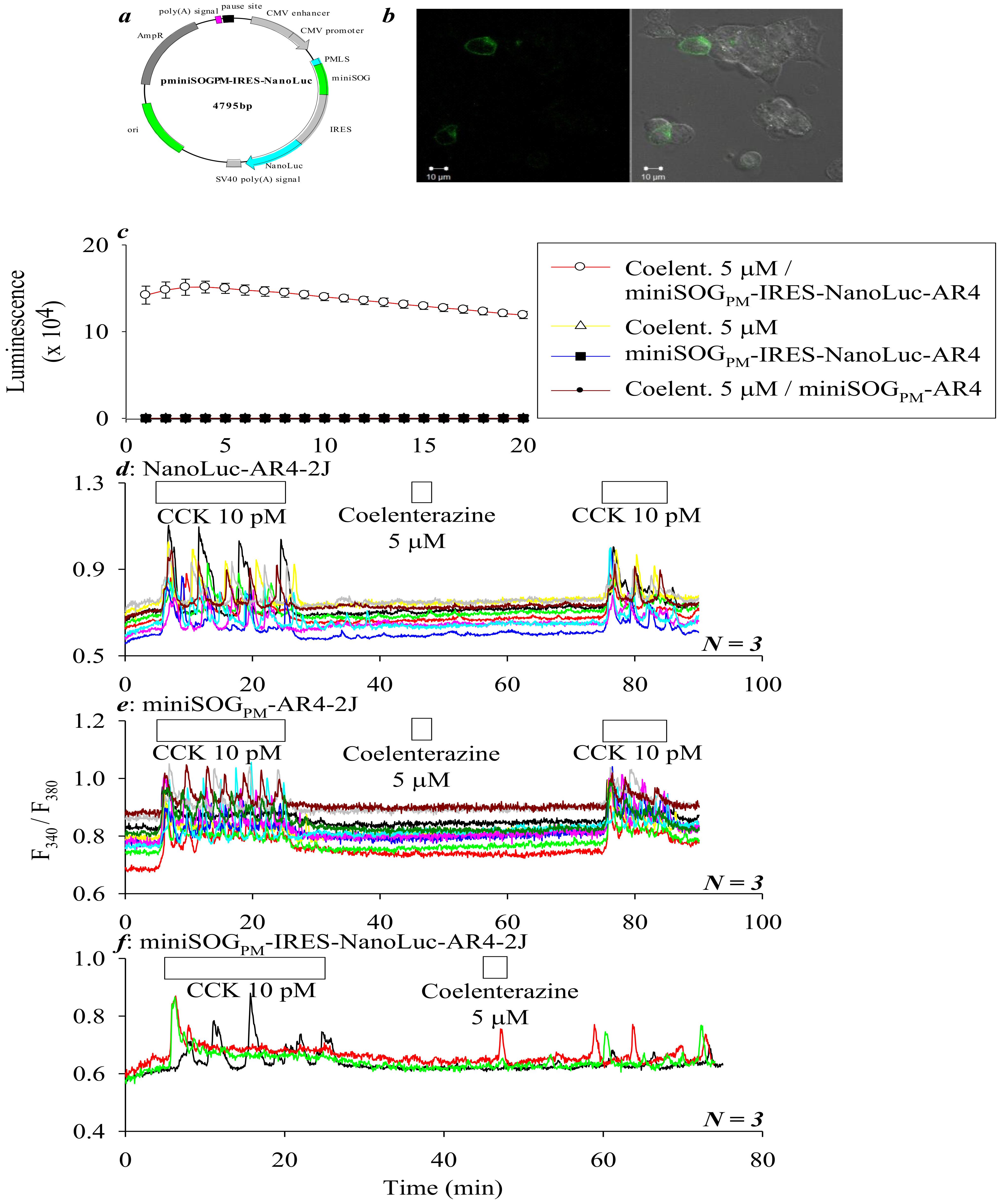 Ijms 21 03763 g002 Ijms 21 03763 g002