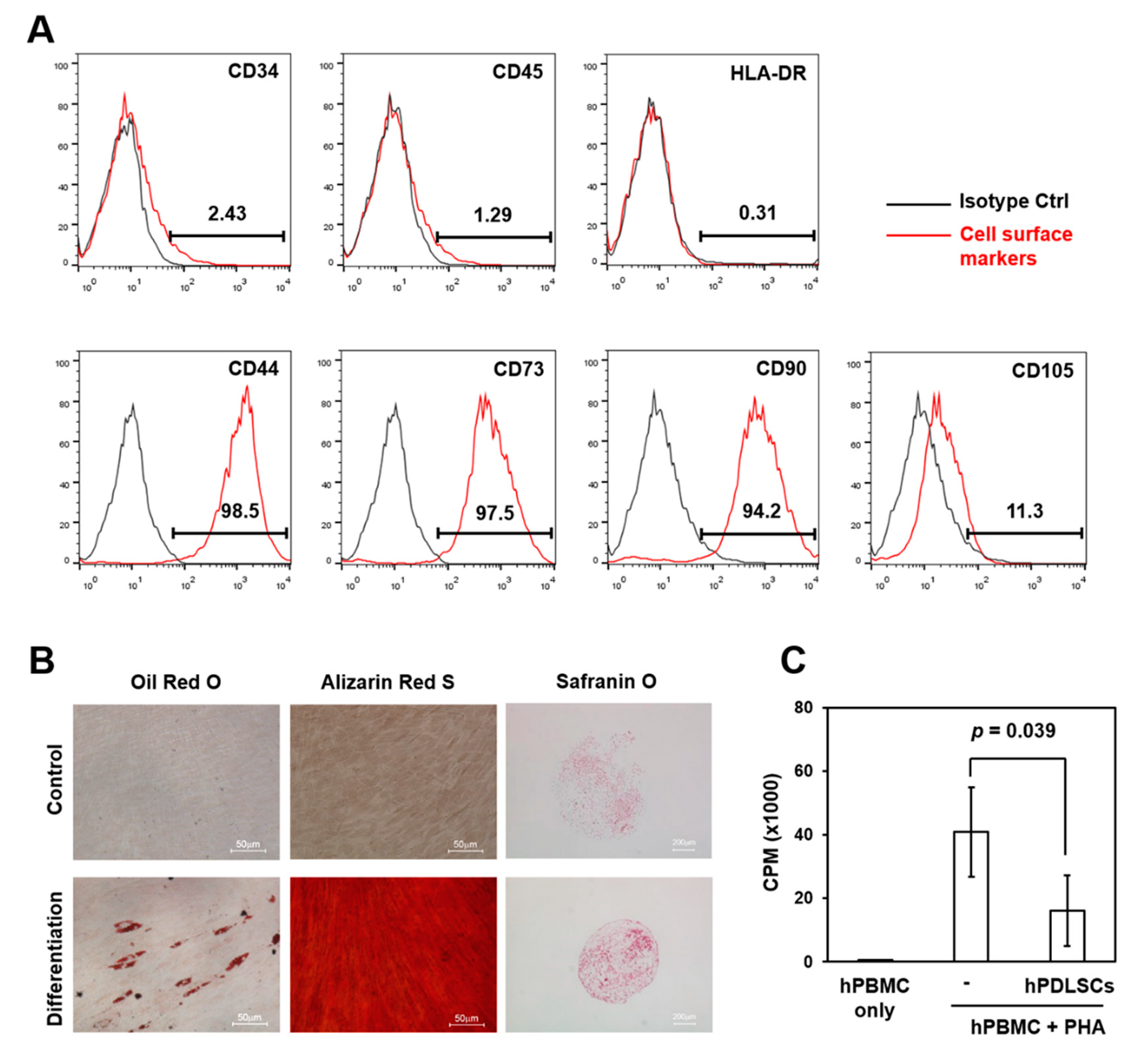 Ijms 21 03767 g001 Ijms 21 03767 g001