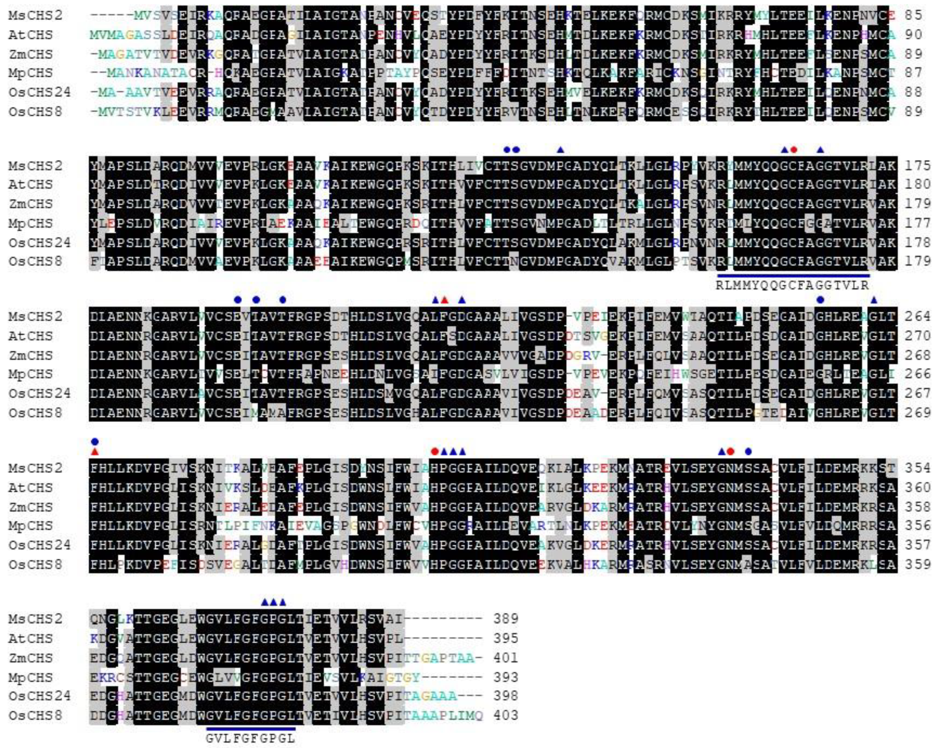 Ijms 21 03777 g002 Ijms 21 03777 g002