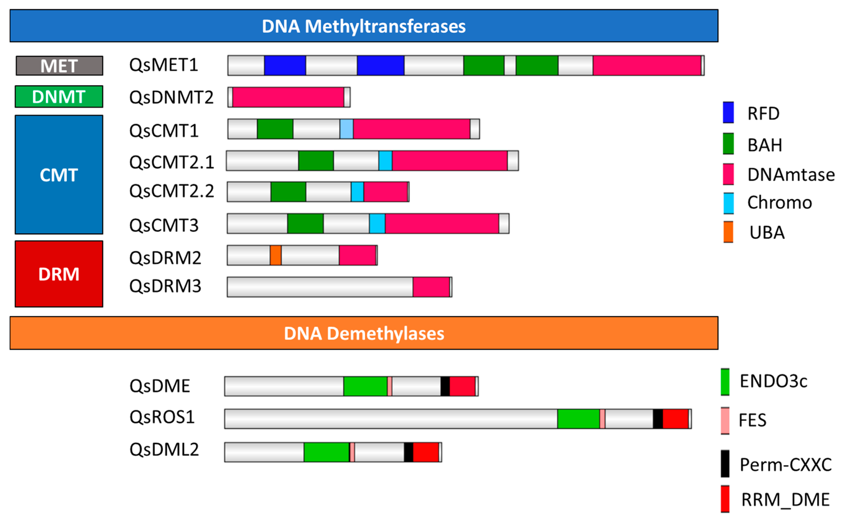 Ijms 21 03783 g001 Ijms 21 03783 g001