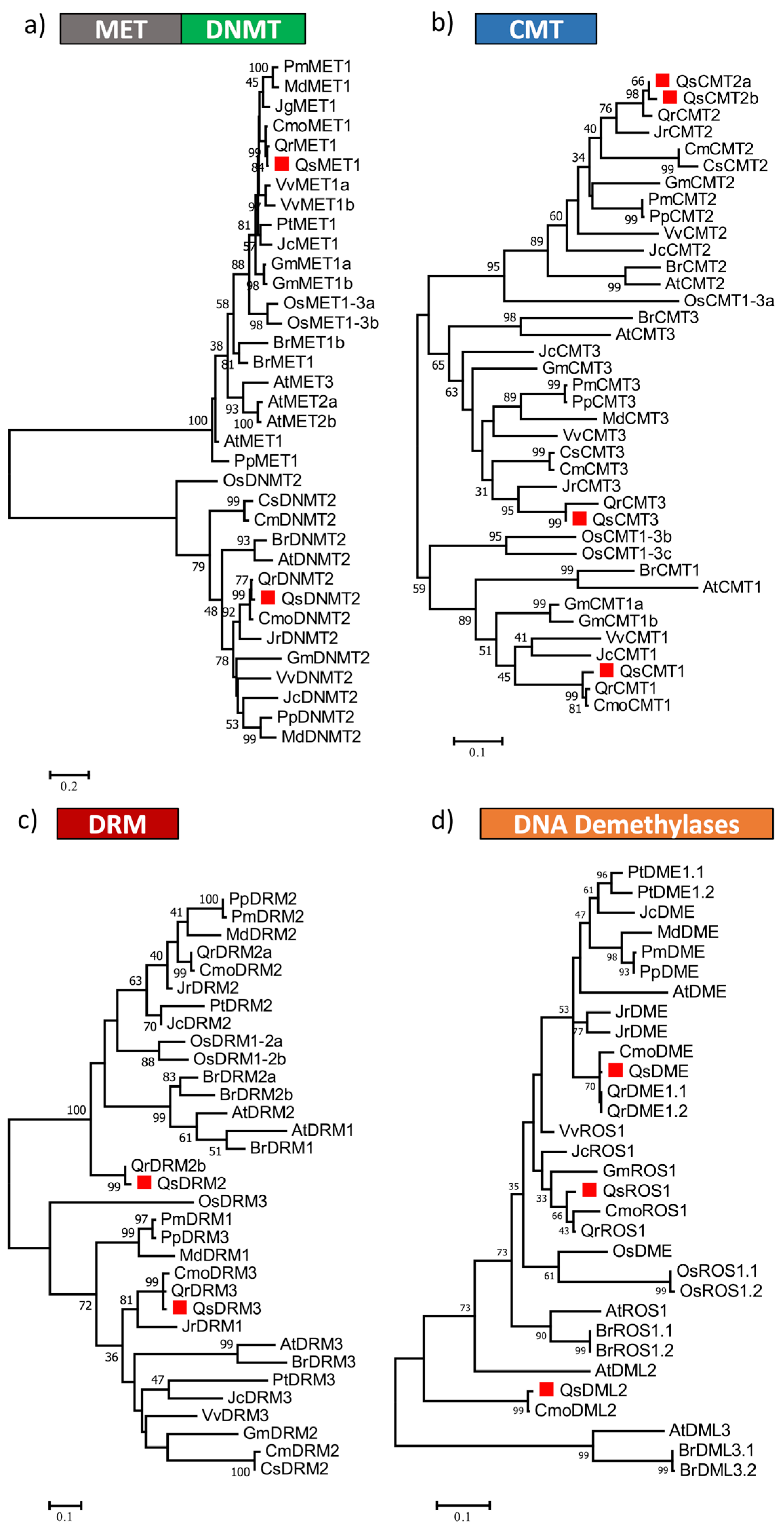 Ijms 21 03783 g002 Ijms 21 03783 g002
