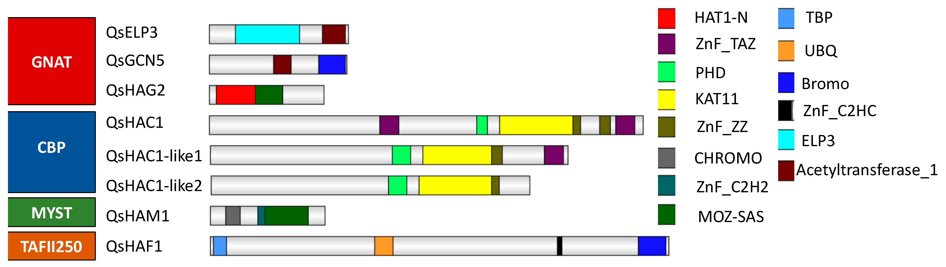 Ijms 21 03783 g003 Ijms 21 03783 g003