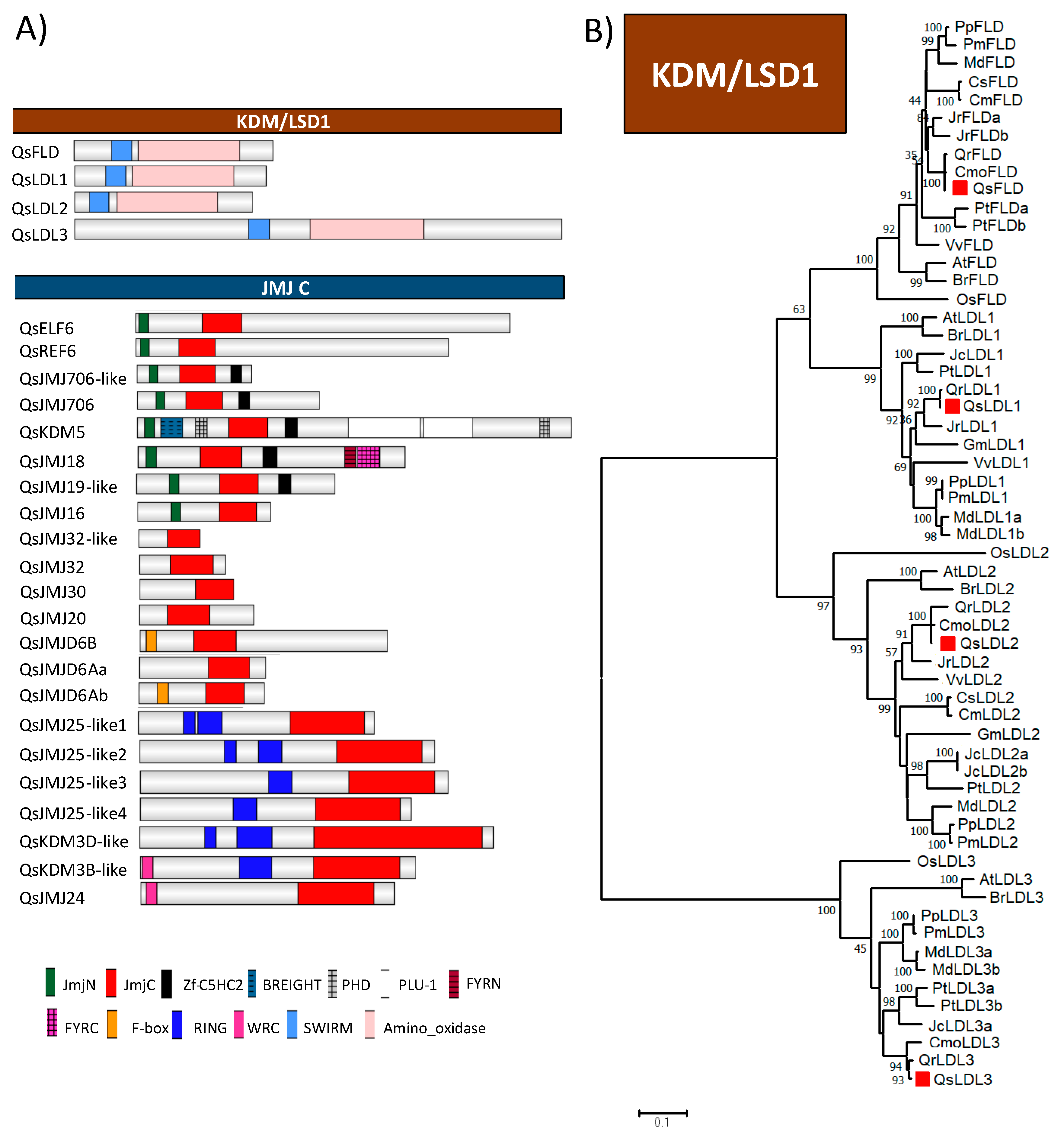 Ijms 21 03783 g006 Ijms 21 03783 g006