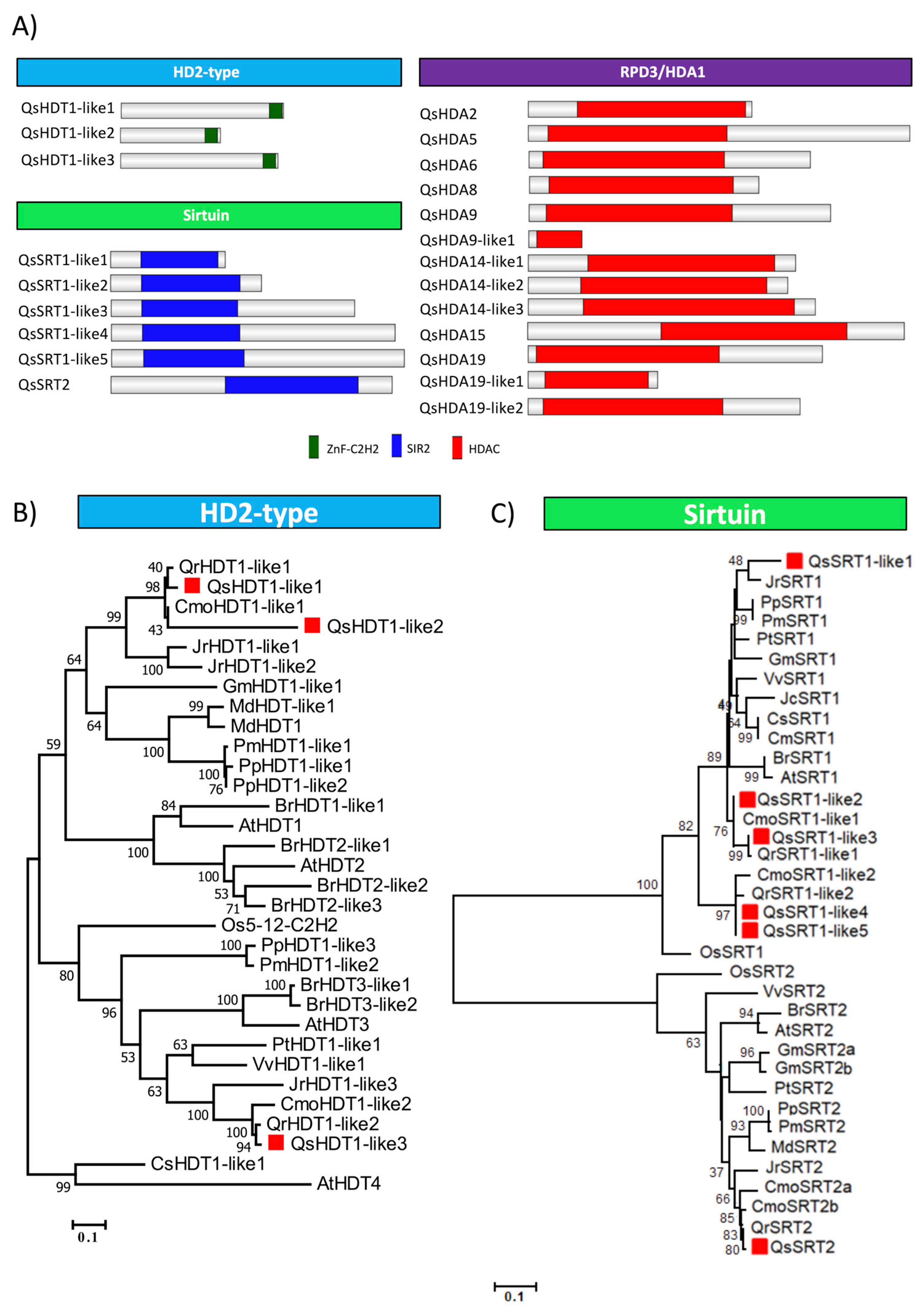 Ijms 21 03783 g007 Ijms 21 03783 g007
