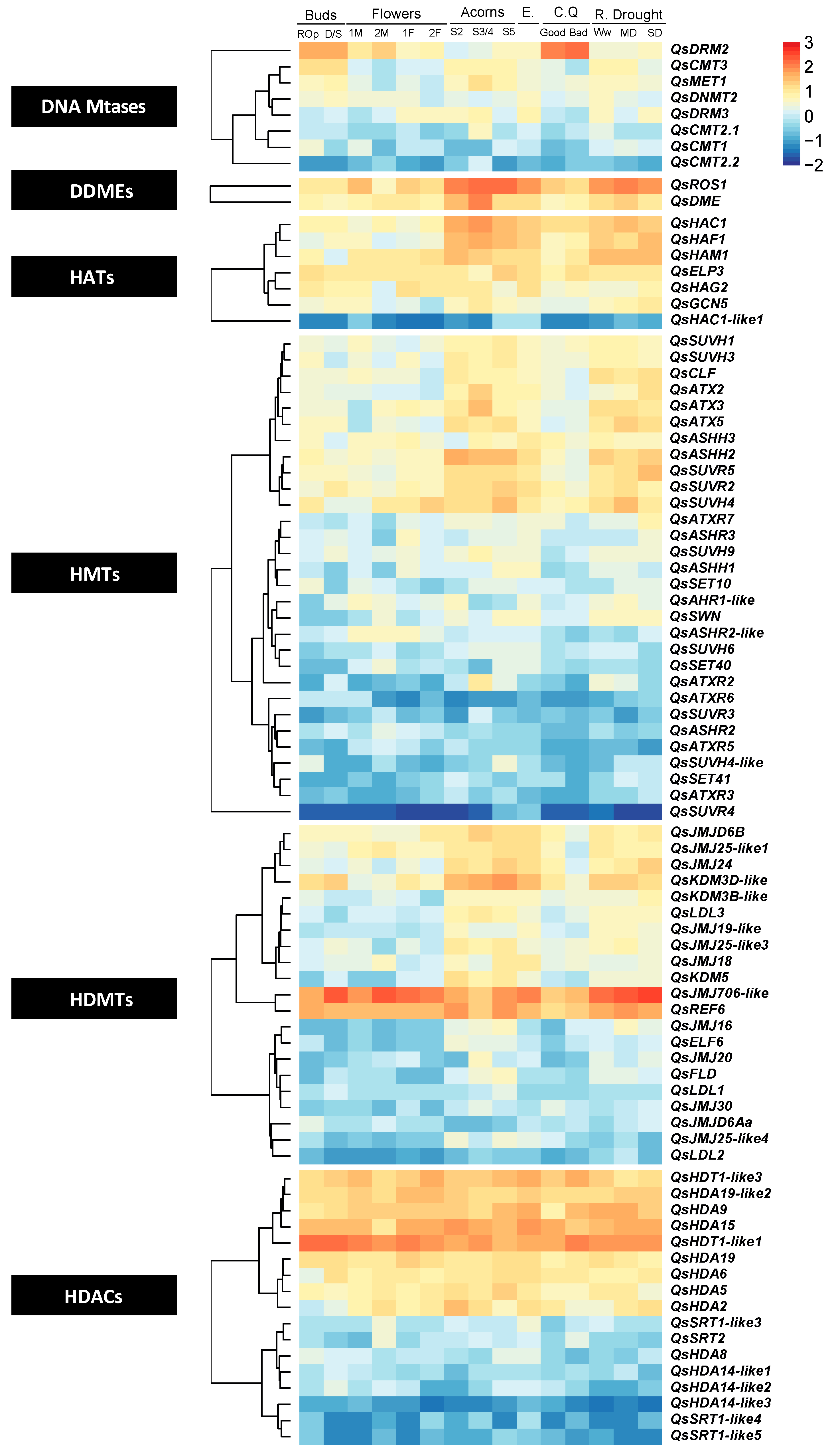 Ijms 21 03783 g008 Ijms 21 03783 g008