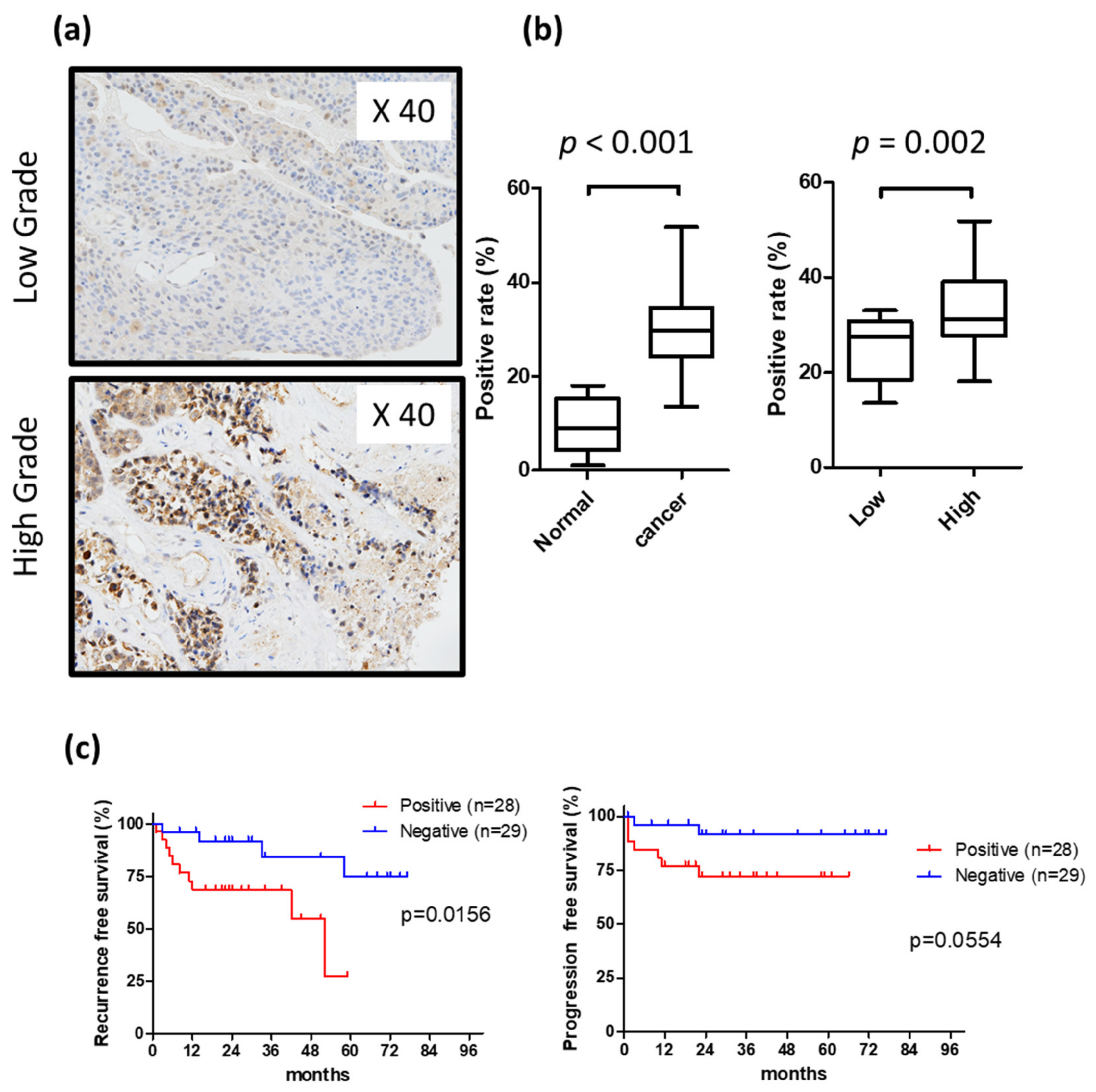 Ijms 21 03789 g001 Ijms 21 03789 g001