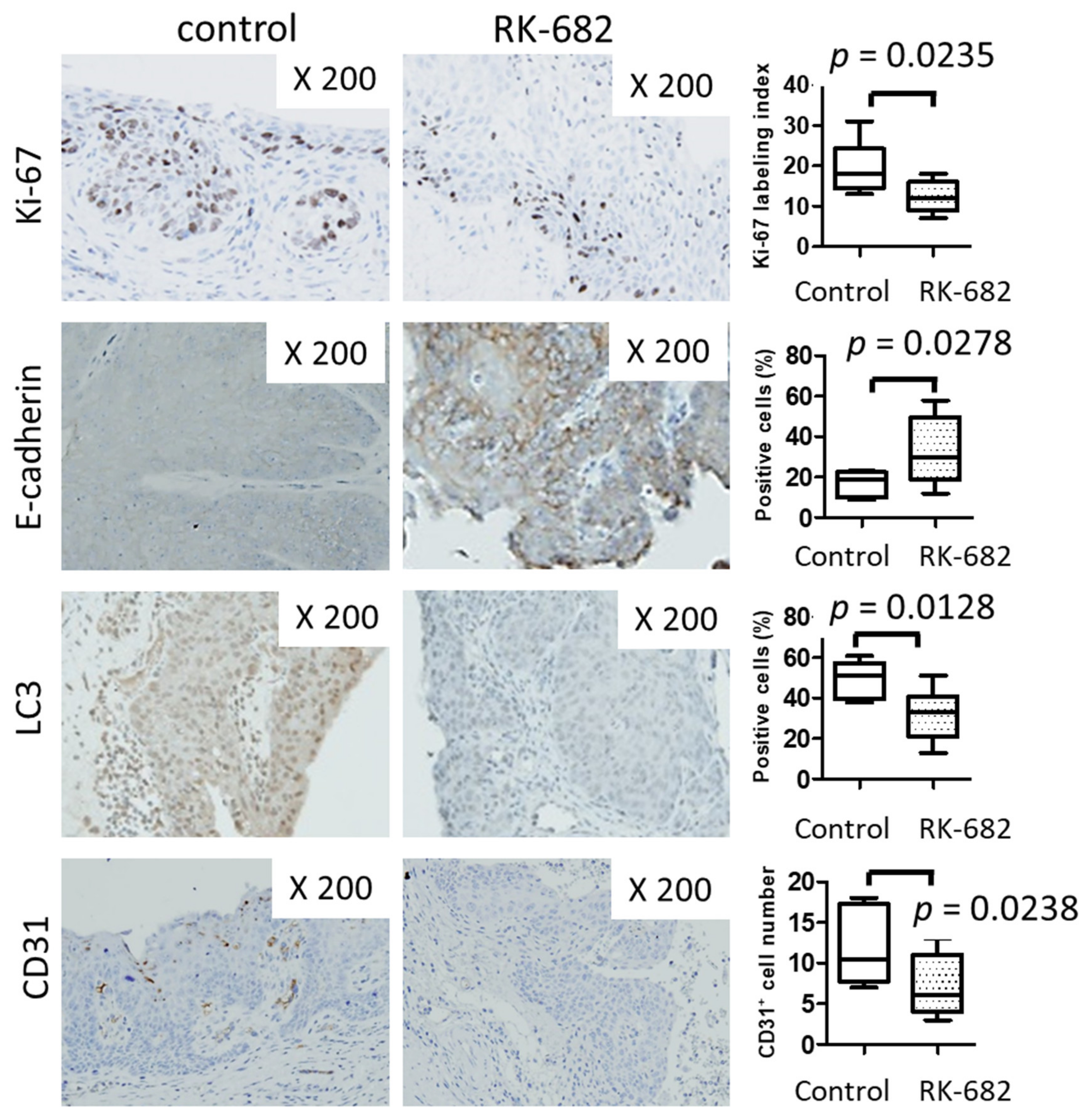 Ijms 21 03789 g005 Ijms 21 03789 g005