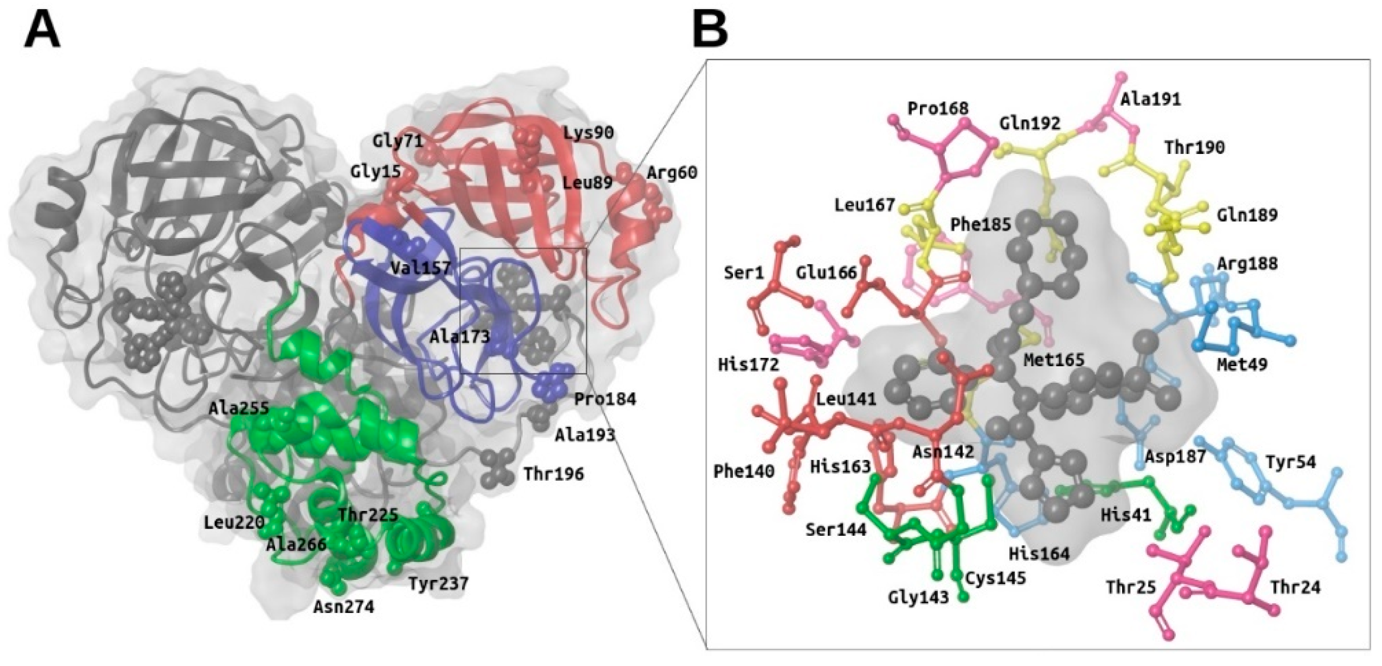 Potent Noncovalent Inhibitors of the Main Protease of SARS-CoV-2