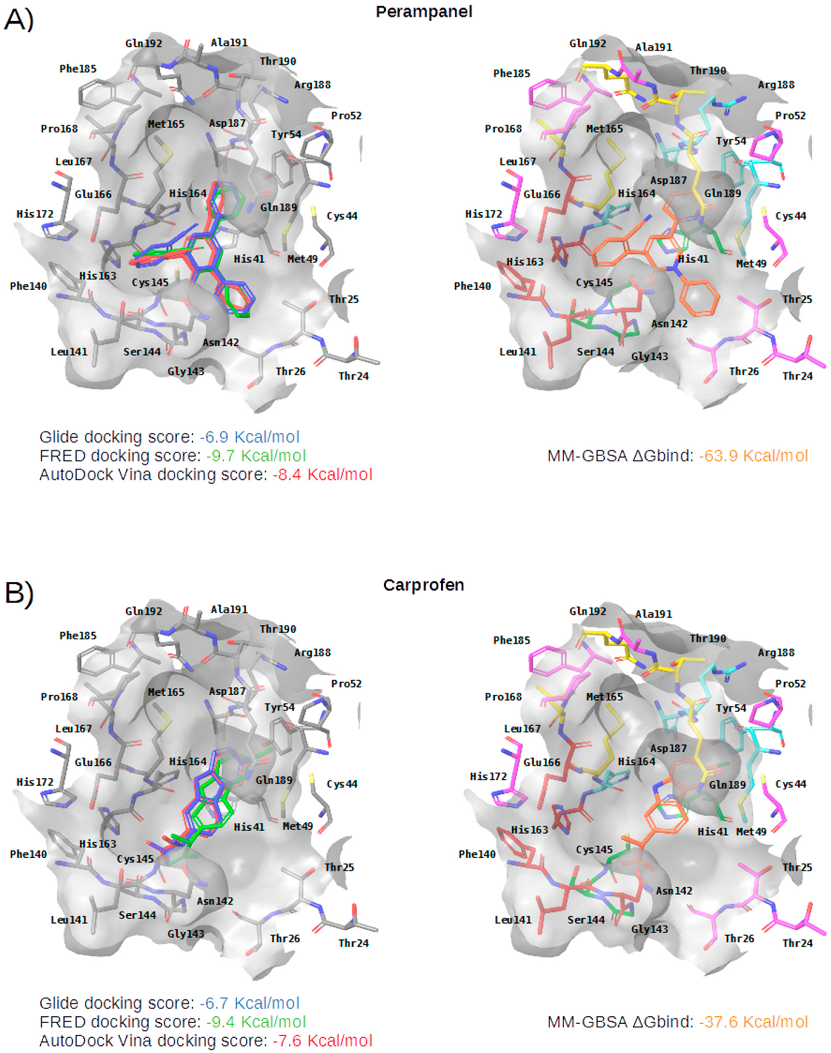 Ijms 21 03793 g005a Ijms 21 03793 g005a