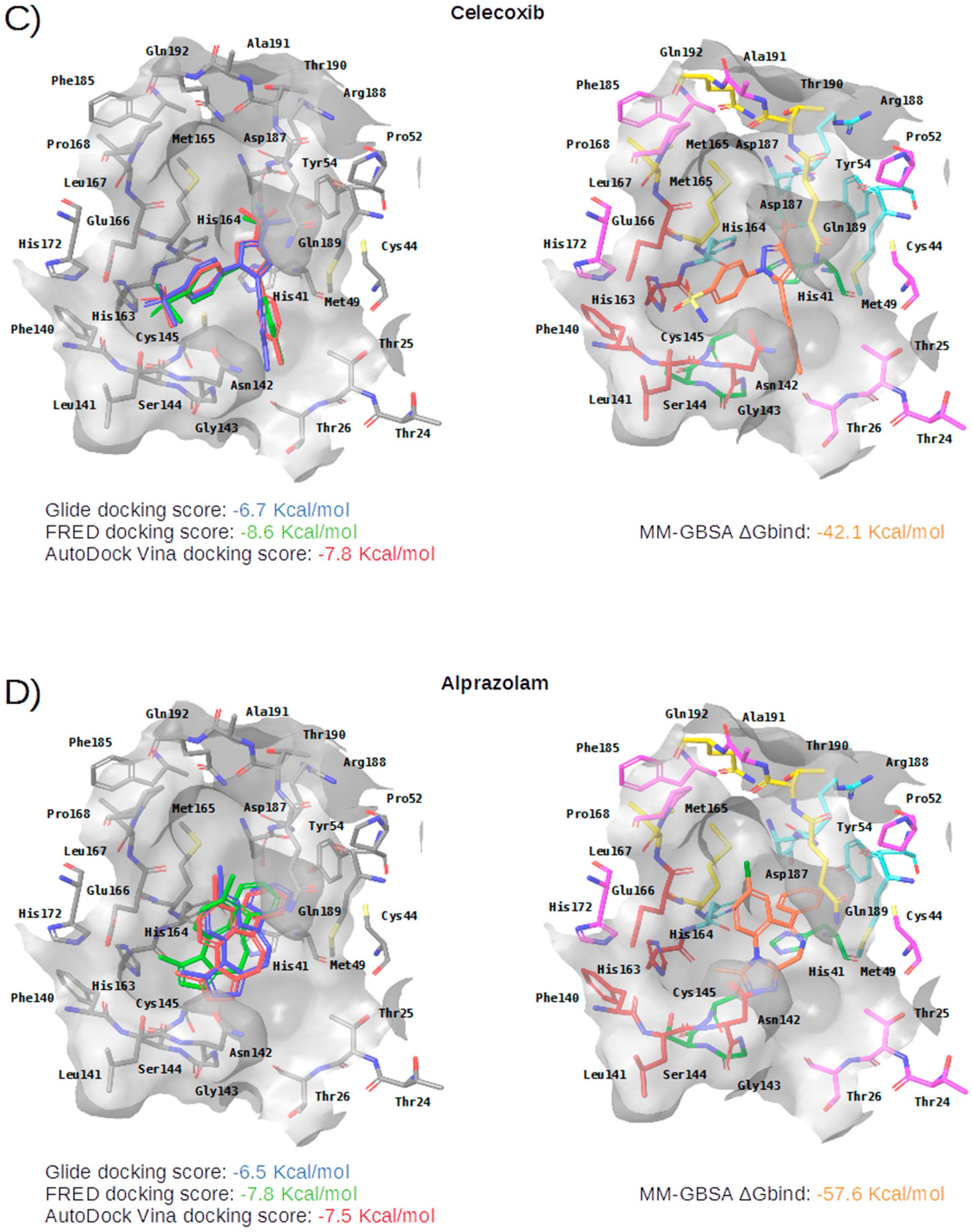 Ijms 21 03793 g005b Ijms 21 03793 g005b