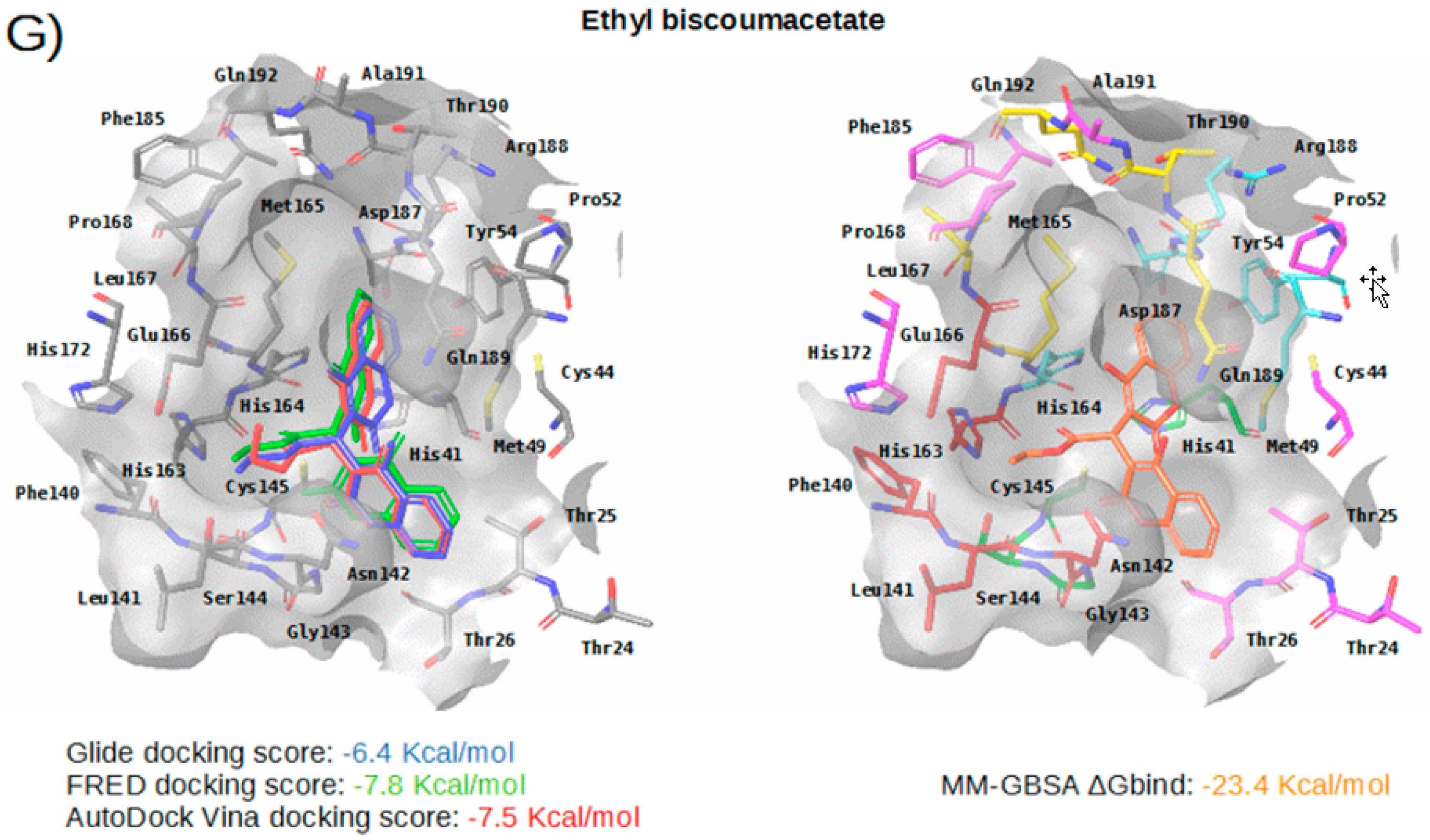 Ijms 21 03793 g005d Ijms 21 03793 g005d